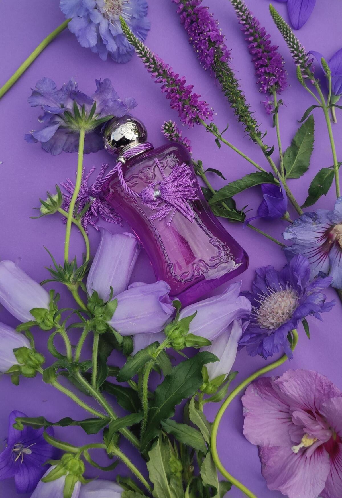 عطر ادکلن پالاتاین پرفیوم د مارلی - Palatine Parfums de Marly - بررسی، قیمت و خرید