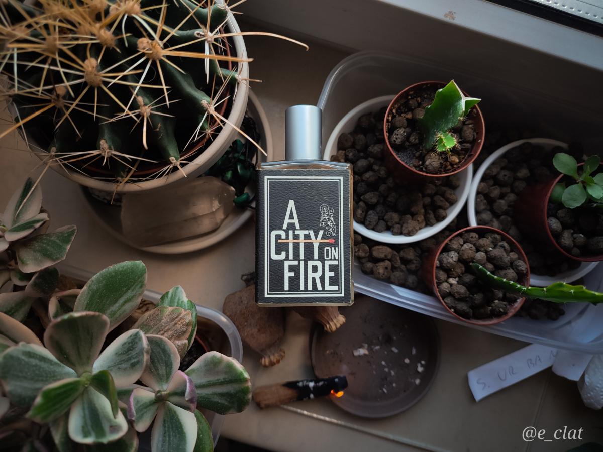 عطر ادکلن ا سیتی آن فایر ایمجینری آثاررز - A City On Fire Imaginary Authors - بررسی، قیمت و خرید