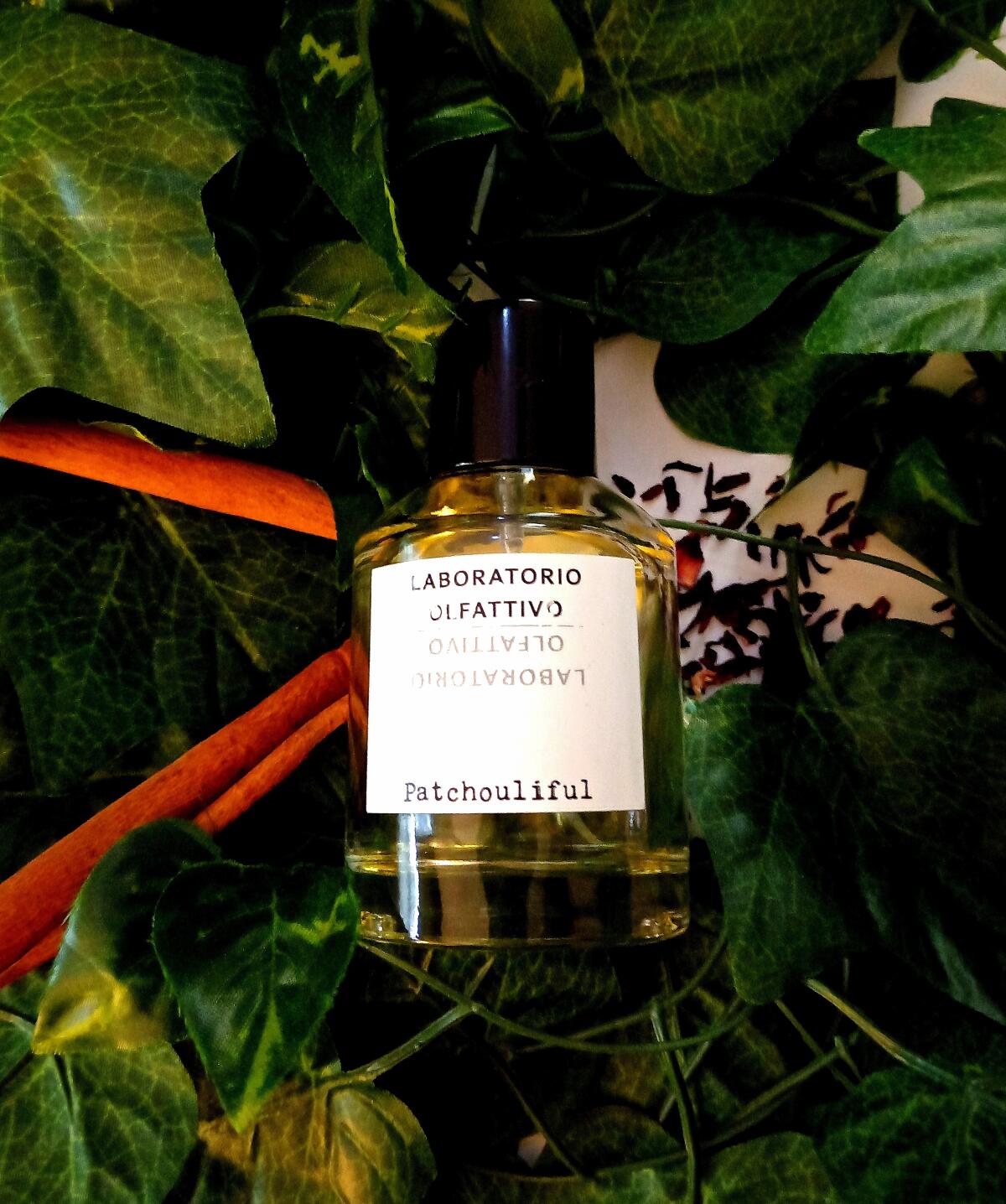 عطر ادکلن پَچولیفول لابراتوریو اولفاتیوو - Patchouliful Laboratorio Olfattivo - بررسی، قیمت و خرید