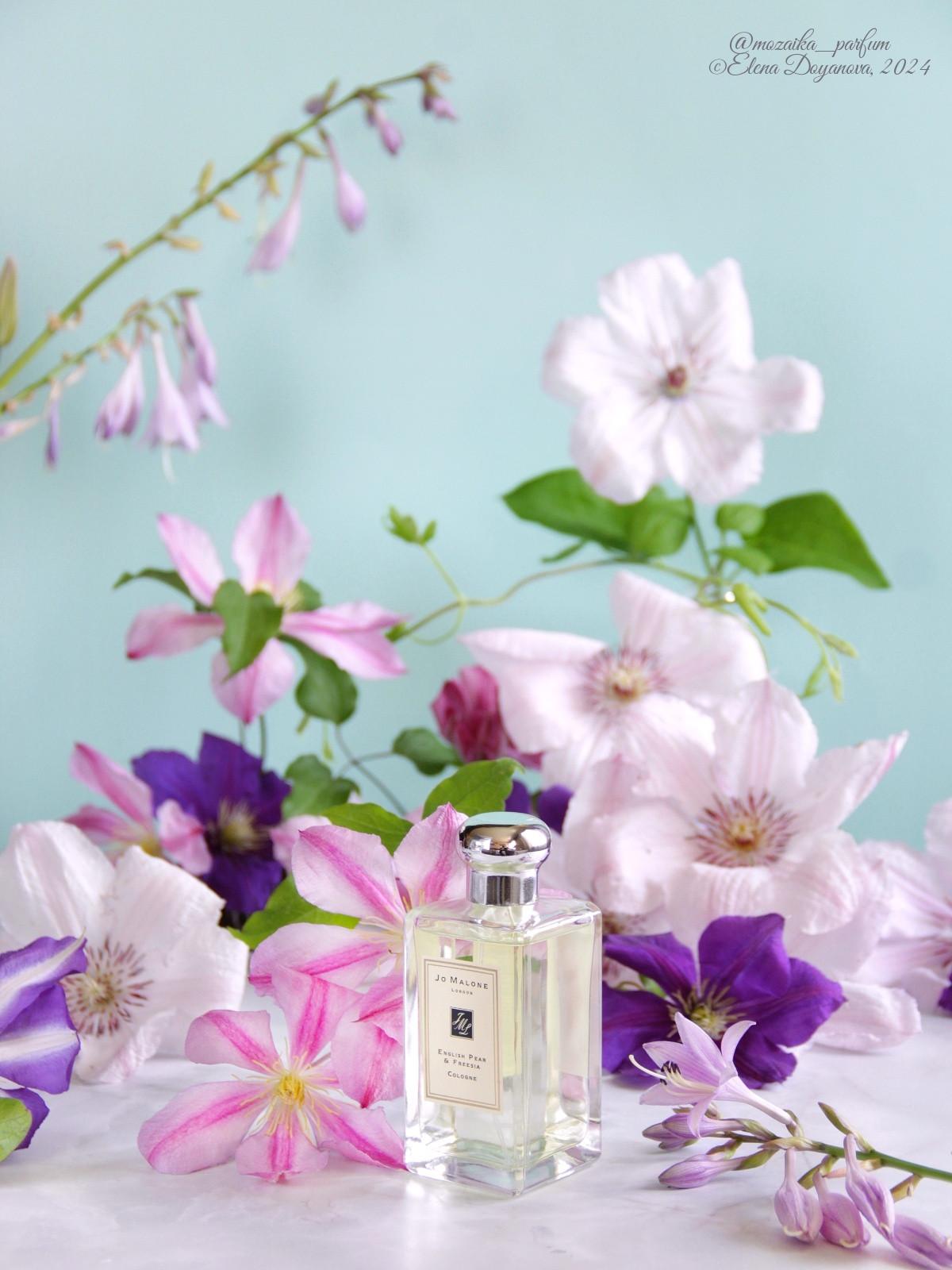 عطر ادکلن اینگلیش پیر اند فریزیا جو مالون لندن - English Pear & Freesia Jo Malone London - بررسی، قیمت و خرید