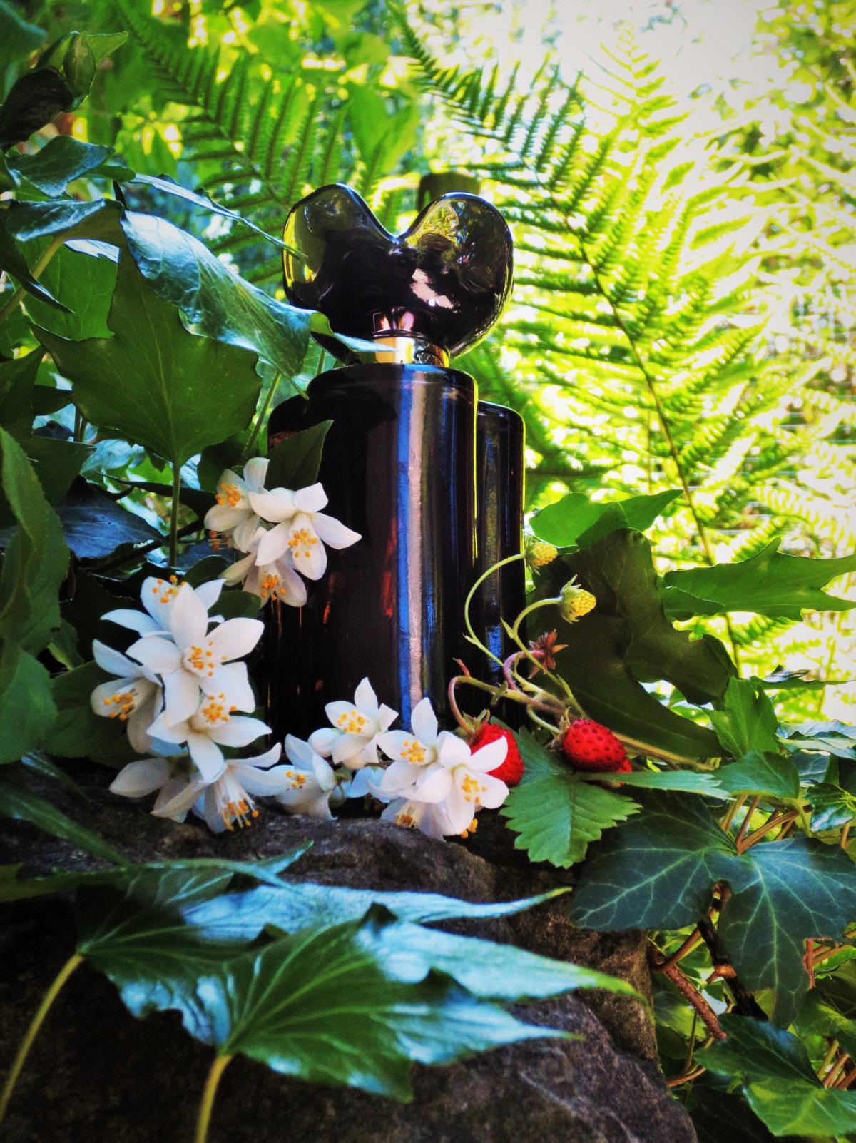 عطر ادکلن میدنایت امبر اسکار د لا رنتا - Midnight Amber Oscar de la Renta - بررسی، قیمت و خرید