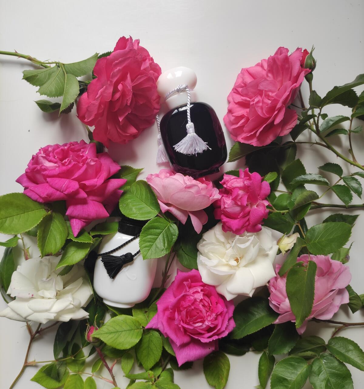 عطر ادکلن لس پارفومز دی روسین رز ابسولومنت - Rose Absolument Les Parfums de Rosine - بررسی، قیمت و خرید