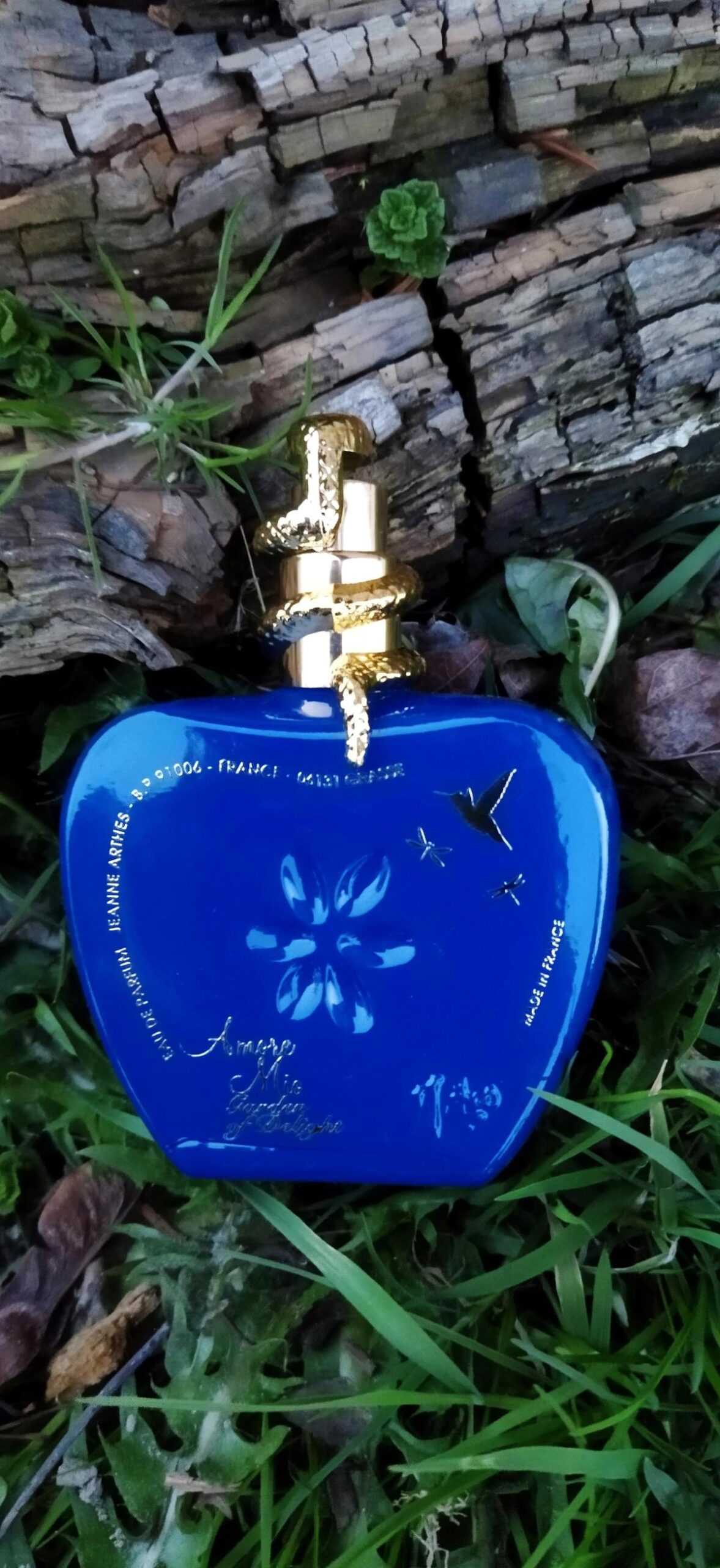 عطر ادکلن آمور میو گاردن آف دیلایت ژان آرته‌س - Amore Mio Garden of Delight Jeanne Arthes - بررسی، قیمت و خرید