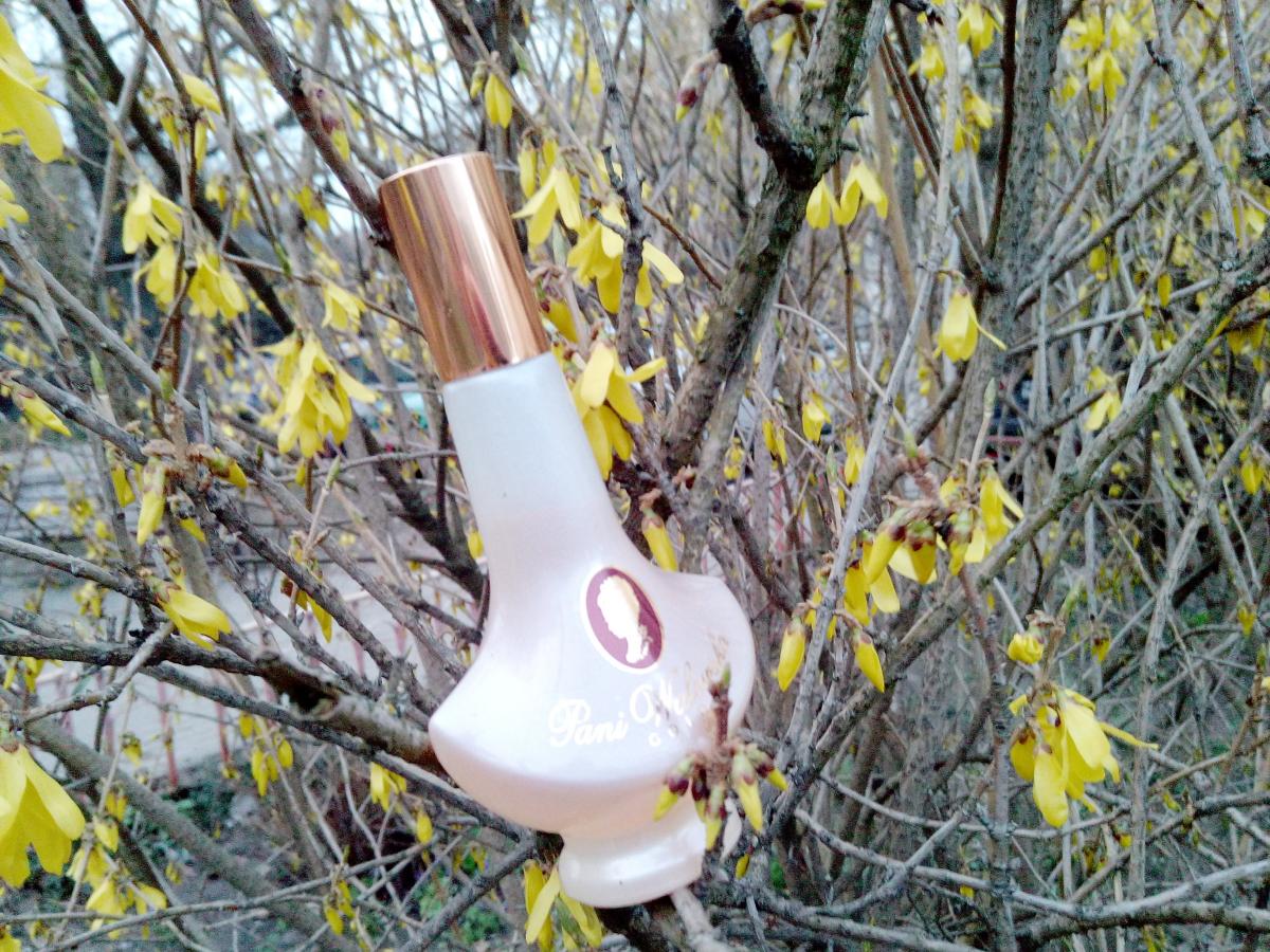 عطر ادکلن پانی والسکا گلد میراکلوم - Pani Walewska Gold Miraculum - بررسی، قیمت و خرید