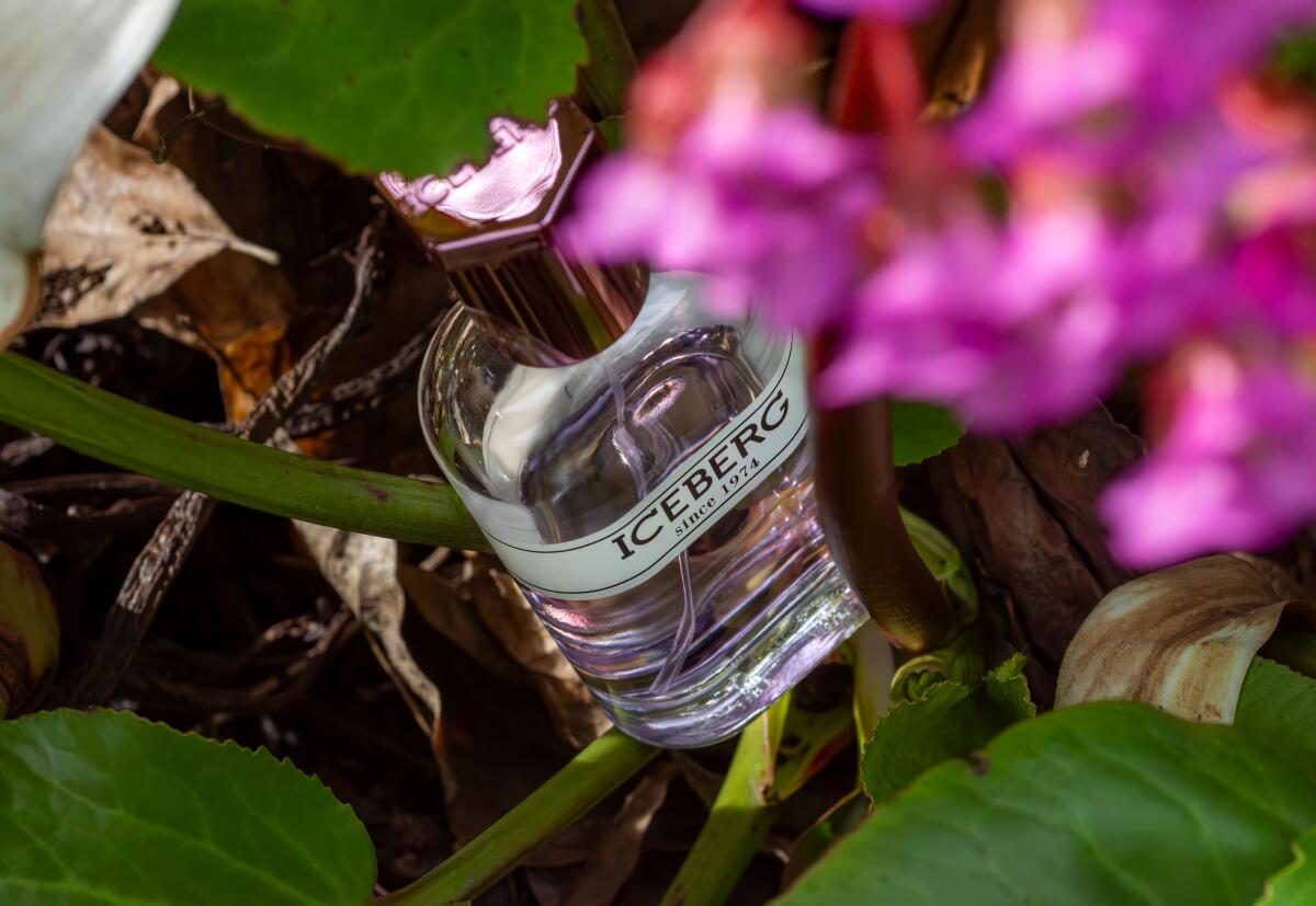 عطر ادکلن آیس برگ آیسبرگ - Iceberg Since 1974 for Her Iceberg - بررسی، قیمت و خرید