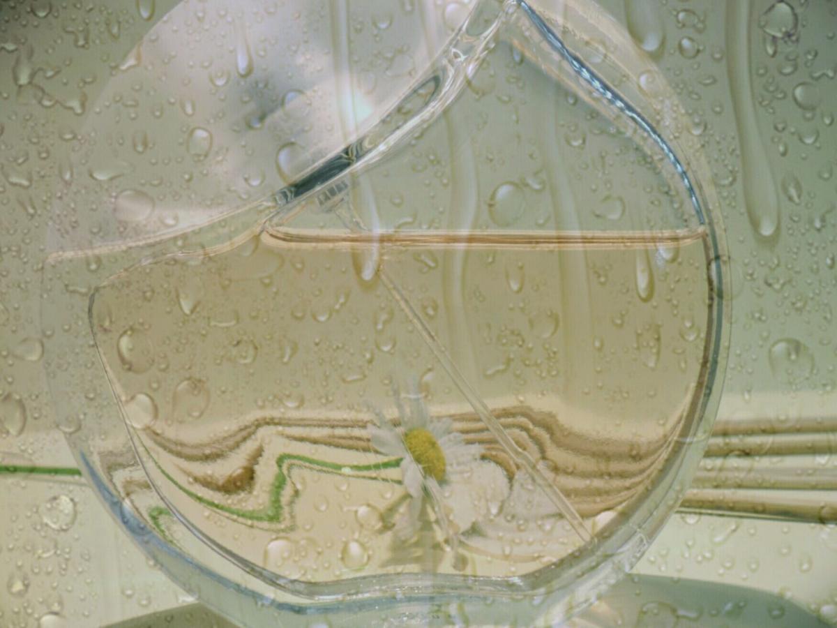 عطر ادکلن سنسیشنز جیل ساندر - Sensations Jil Sander - بررسی، قیمت و خرید