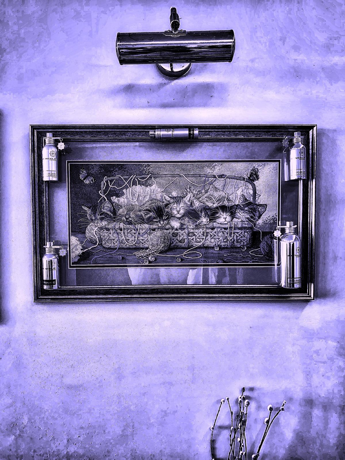 عطر ادکلن اود ولوت مونتال - Aoud Velvet Montale - بررسی، قیمت و خرید