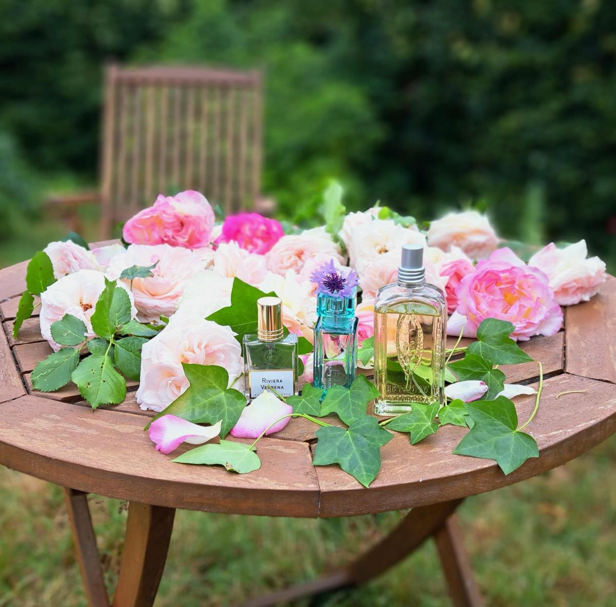 عطر ادکلن ریویرا وربنا نیکولای پارفومر کریتور - Riviera Verbena Nicolai Parfumeur Createur - بررسی، قیمت و خرید