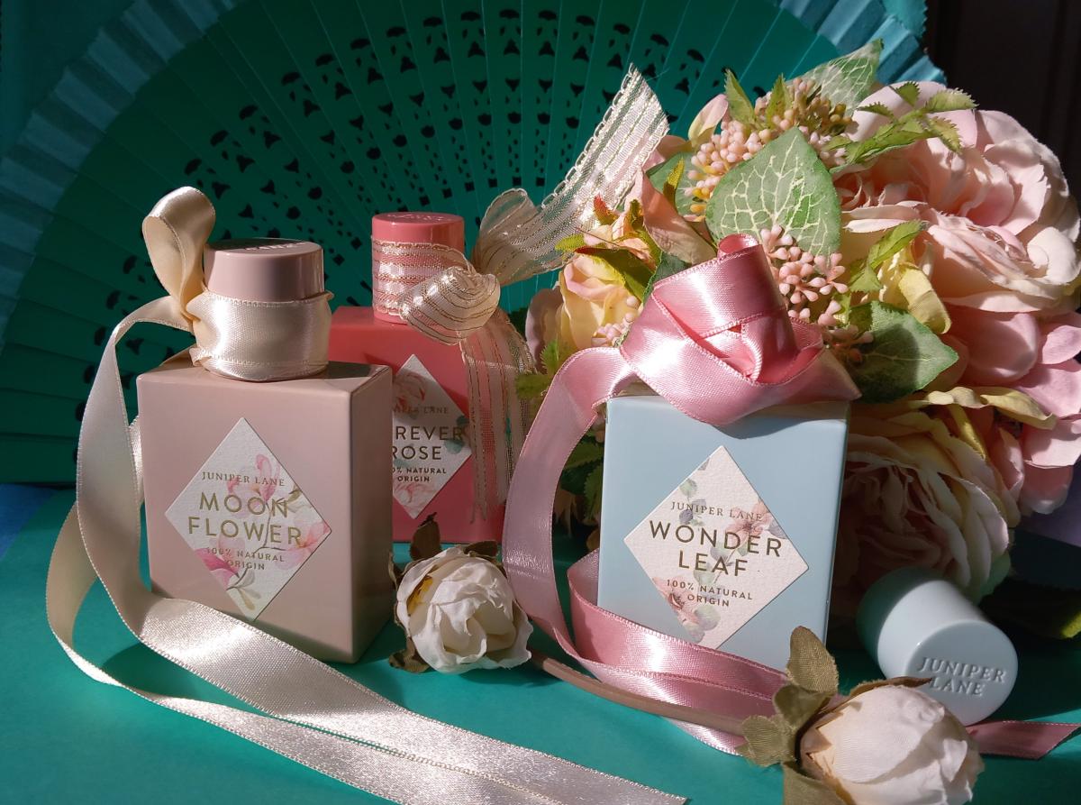 عطر ادکلن فوراور رز نیچر بلاسوم - Forever Rose Nature Blossom - بررسی، قیمت و خرید