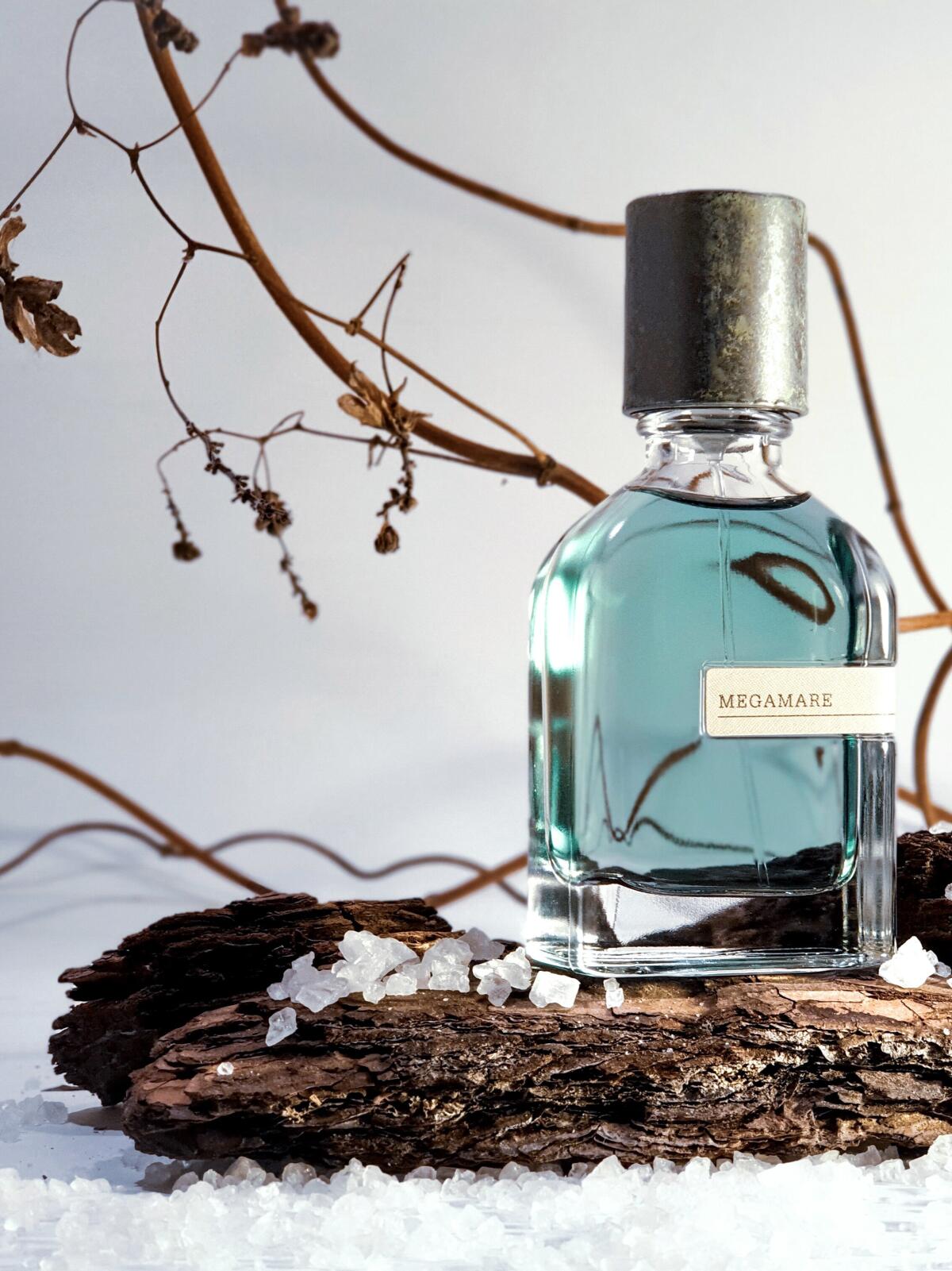 عطر ادکلن مگامار اورتو پاریسی - Megamare Orto Parisi - بررسی، قیمت و خرید