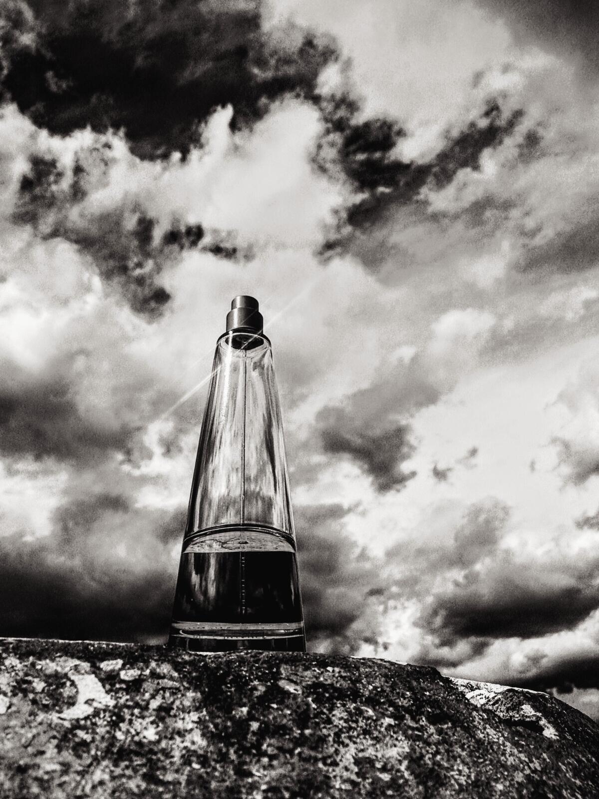 عطر ادکلن لو دیسی رز اند رز ایسه میاکه - L'Eau d'Issey Rose & Rose Issey Miyake - بررسی، قیمت و خرید