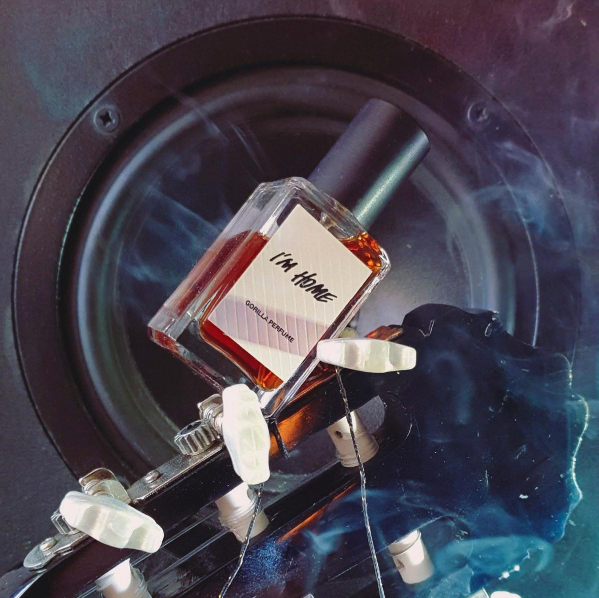 عطر ادکلن آیم هوم لاش - I'm Home Lush - بررسی، قیمت و خرید