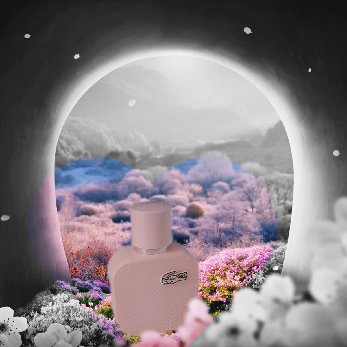 عطر ادکلن ال.دوازده.دوازده او دو پارفوم رز فور هر لاکست فراگرنسز - L.12.12 Eau de Parfum Rose For Her Lacoste Fragrances - بررسی، قیمت و خرید