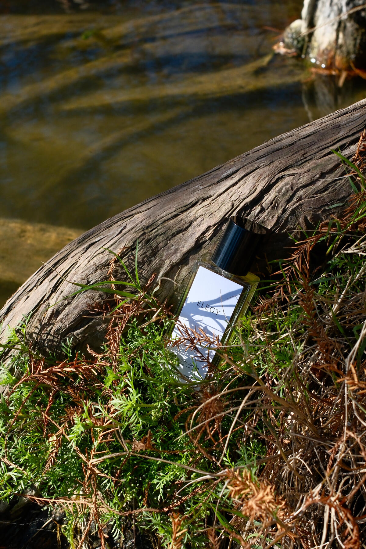 عطر ادکلن الژی جرم استودیو - Elegy Jorum Studio - بررسی، قیمت و خرید