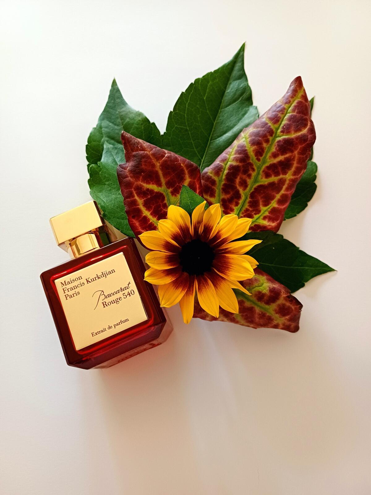 عطر ادکلن باکارات روژ ۵۴۰ اکستریت د پرفیوم میسون فرانسیس کرکجان - Baccarat Rouge 540 Extrait de Parfum Maison Francis Kurkdjian - بررسی، قیمت و خرید