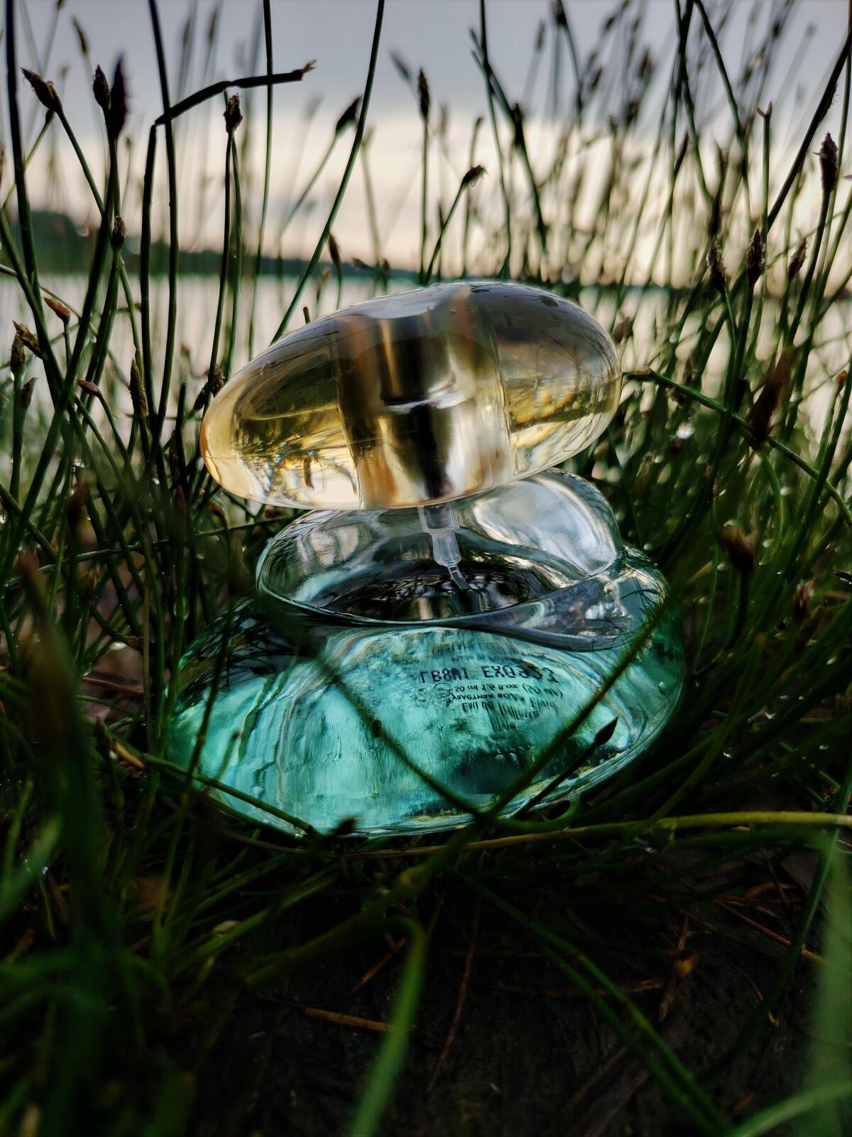 عطر ادکلن اِلوِی اوریفلیم - Elvie Oriflame - بررسی، قیمت و خرید