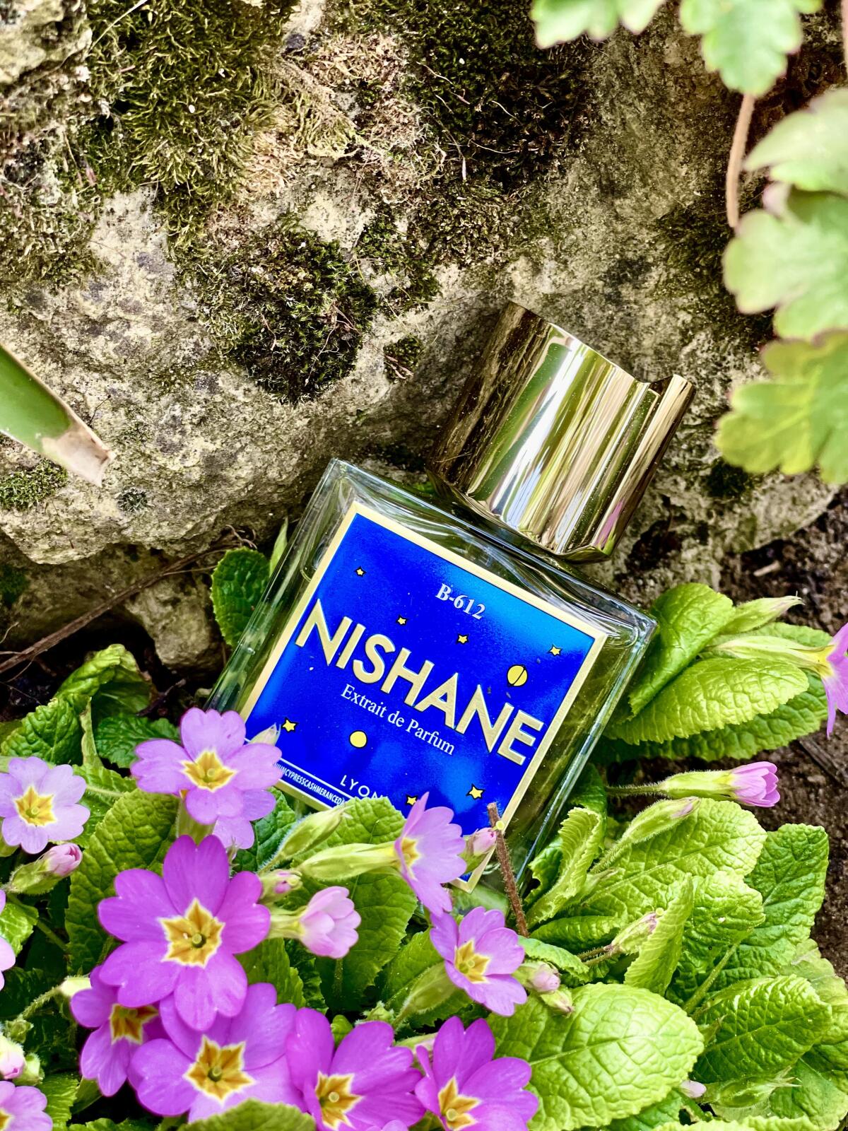 عطر ادکلن بی ششصد و دوازده نیشانه - B-612 Nishane - بررسی، قیمت و خرید