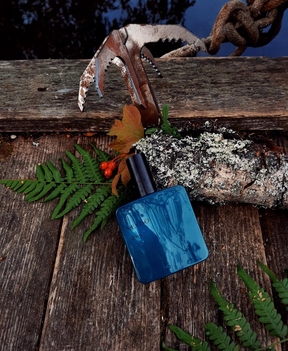 عطر ادکلن ماس‌لند دوازده و نه نی‌دو - Mossland 12.09 NEYDO - بررسی، قیمت و خرید