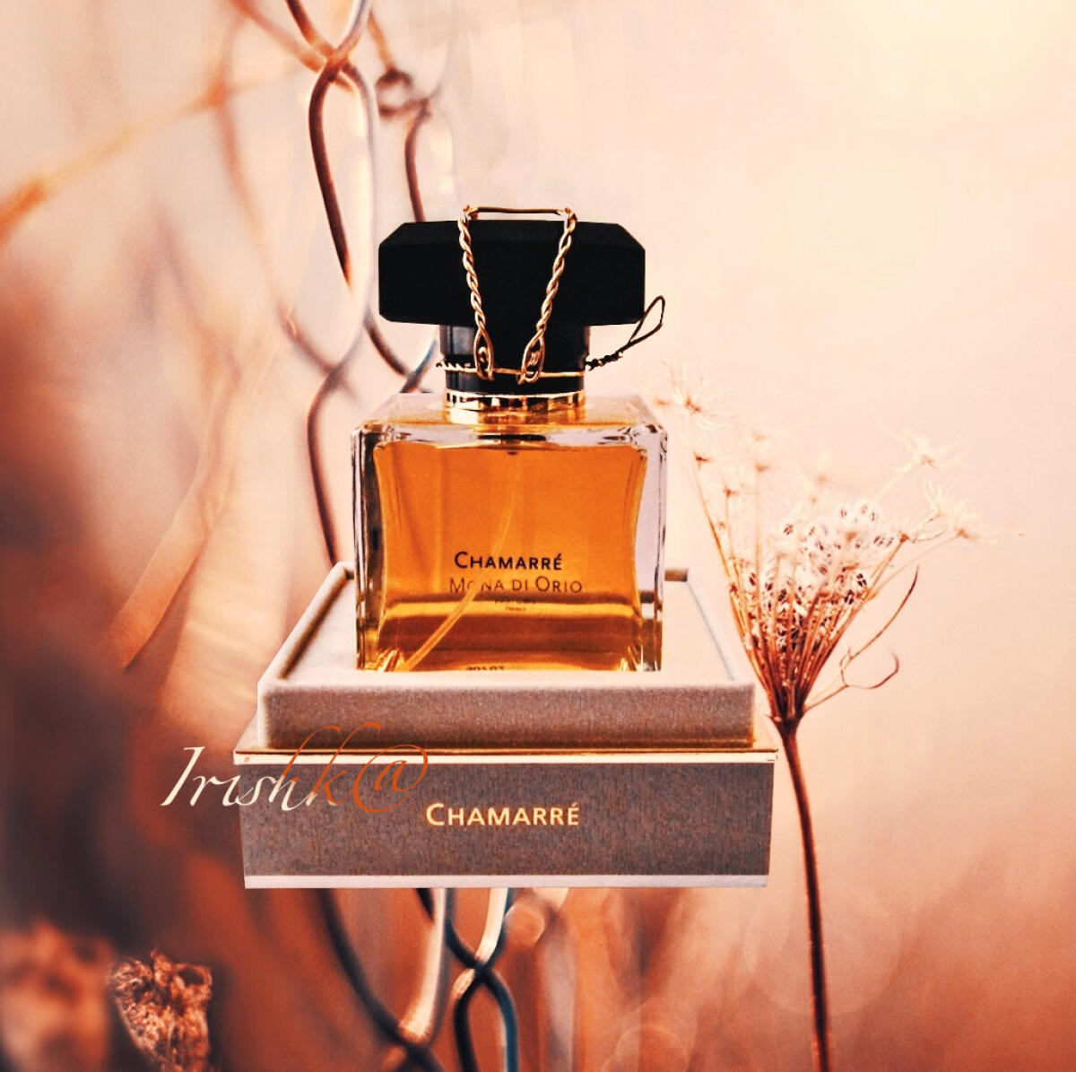 عطر ادکلن چامار مونا دی اوریو - Chamarre Mona di Orio - بررسی، قیمت و خرید