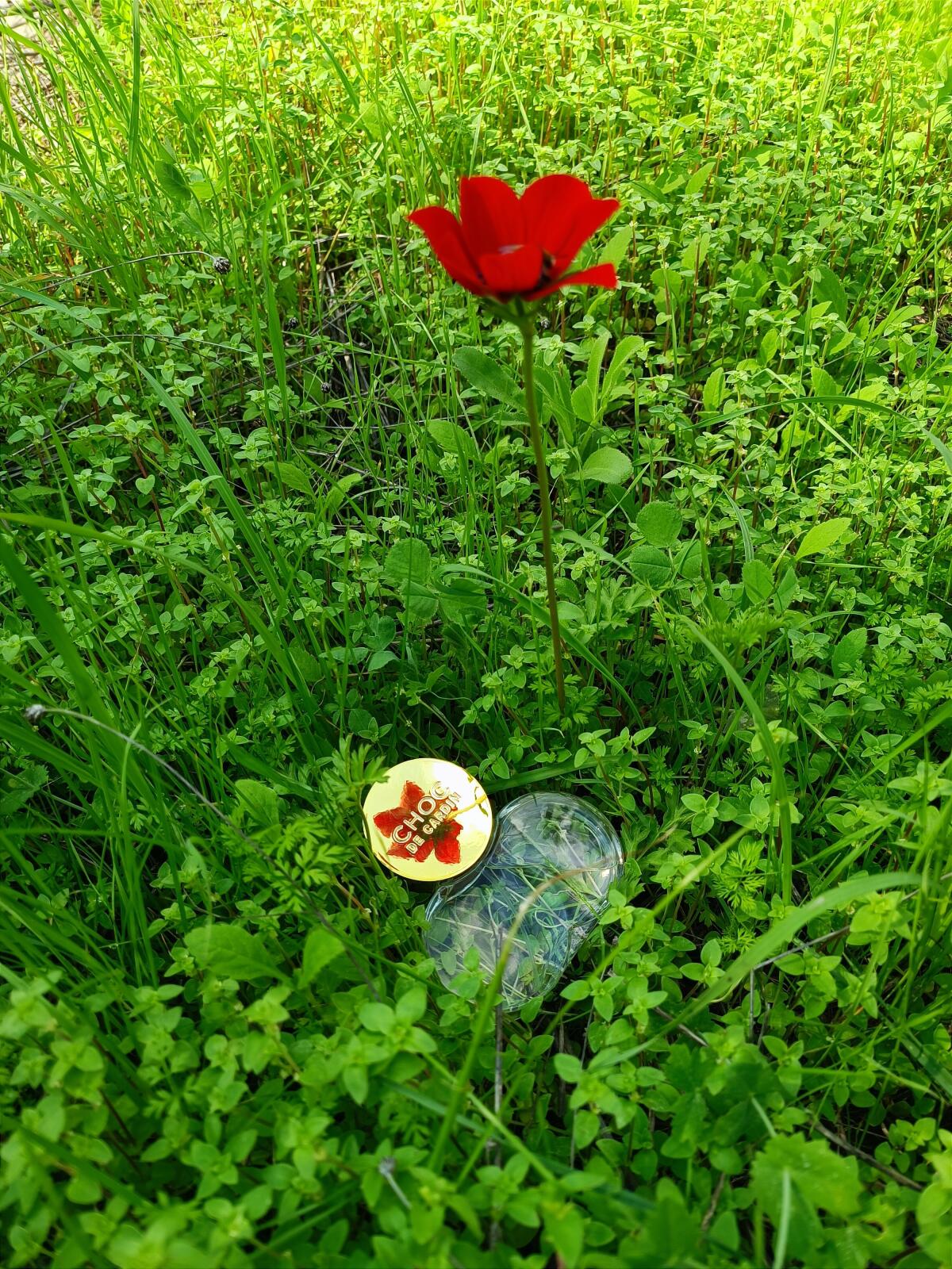 عطر ادکلن شوک د کاردن پیِر کاردَن - Choc de Cardin Pierre Cardin - بررسی، قیمت و خرید