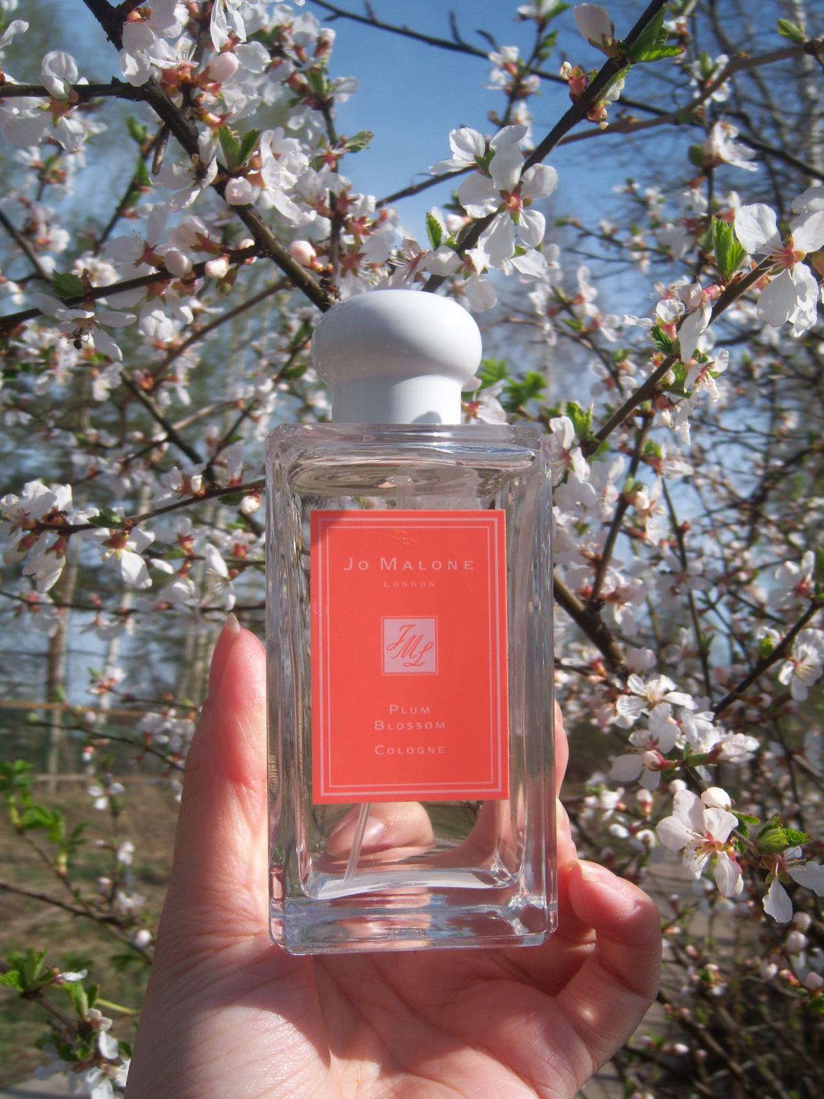 عطر ادکلن پلام بلاسوم جو مالون لندن - Plum Blossom Jo Malone London - بررسی، قیمت و خرید