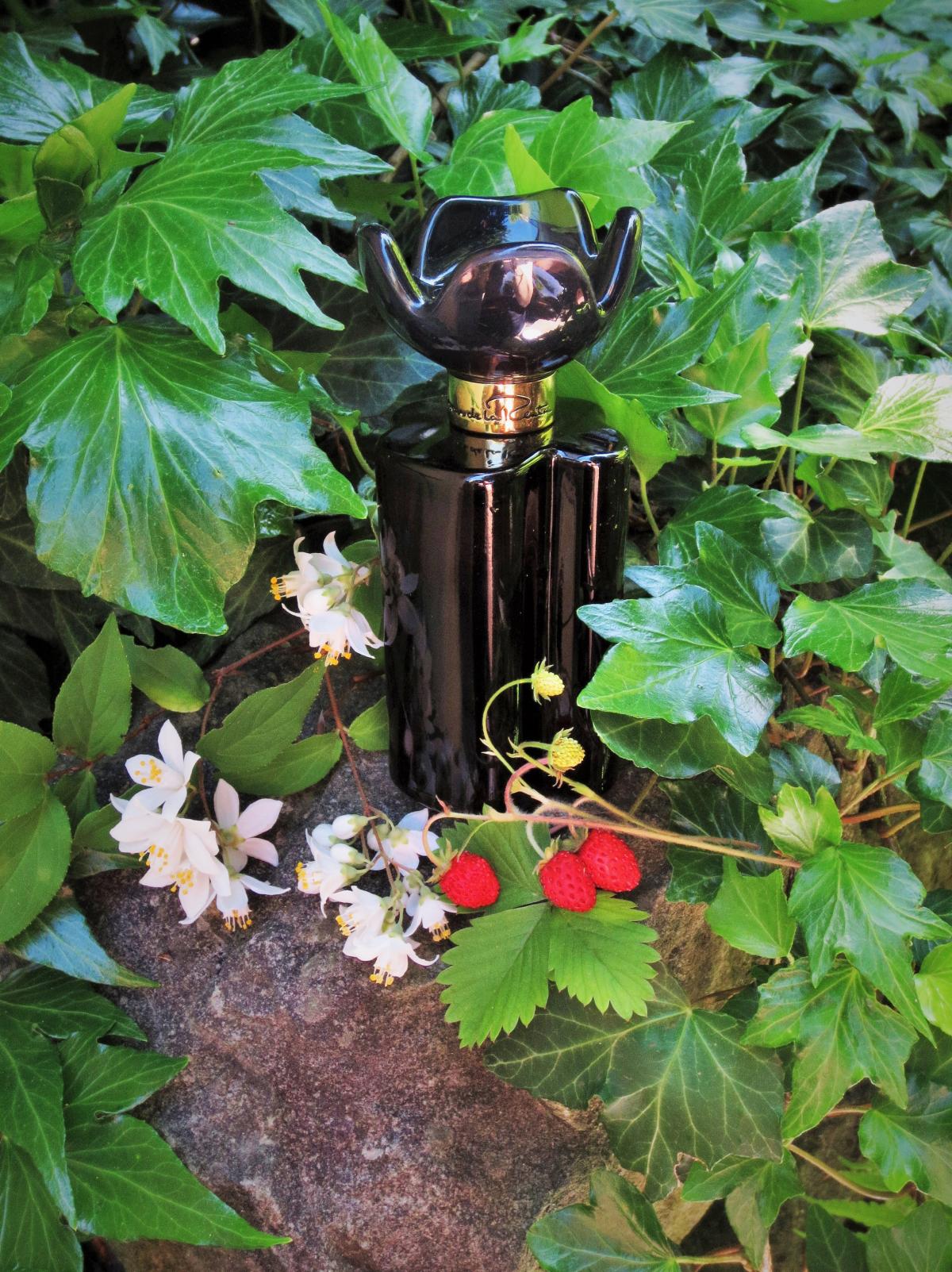 عطر ادکلن میدنایت امبر اسکار د لا رنتا - Midnight Amber Oscar de la Renta - بررسی، قیمت و خرید