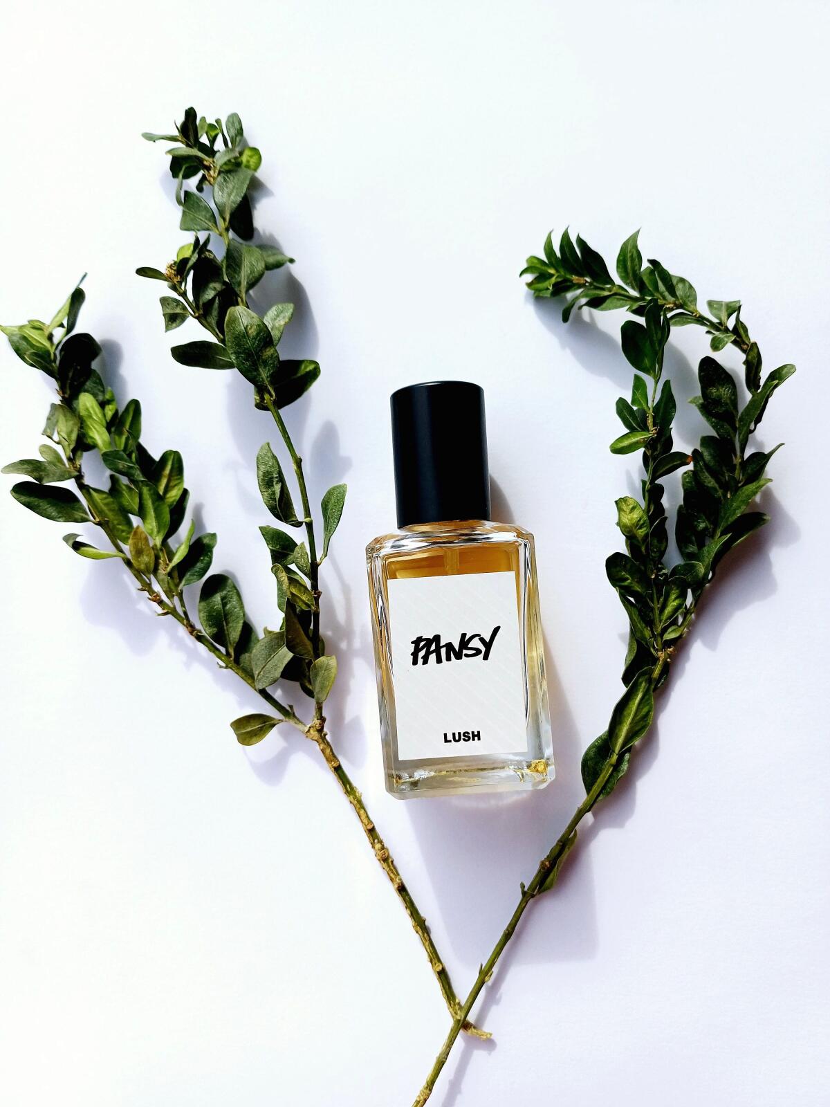 عطر ادکلن پنزی لاش - Pansy Lush - بررسی، قیمت و خرید