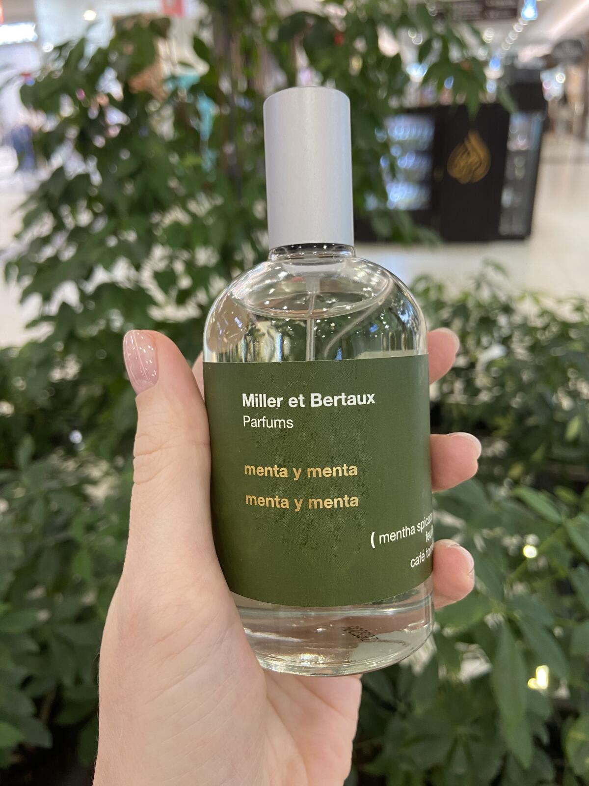 عطر ادکلن منت و منت میلر ات برتو - Menta y Menta Miller et Bertaux - بررسی، قیمت و خرید