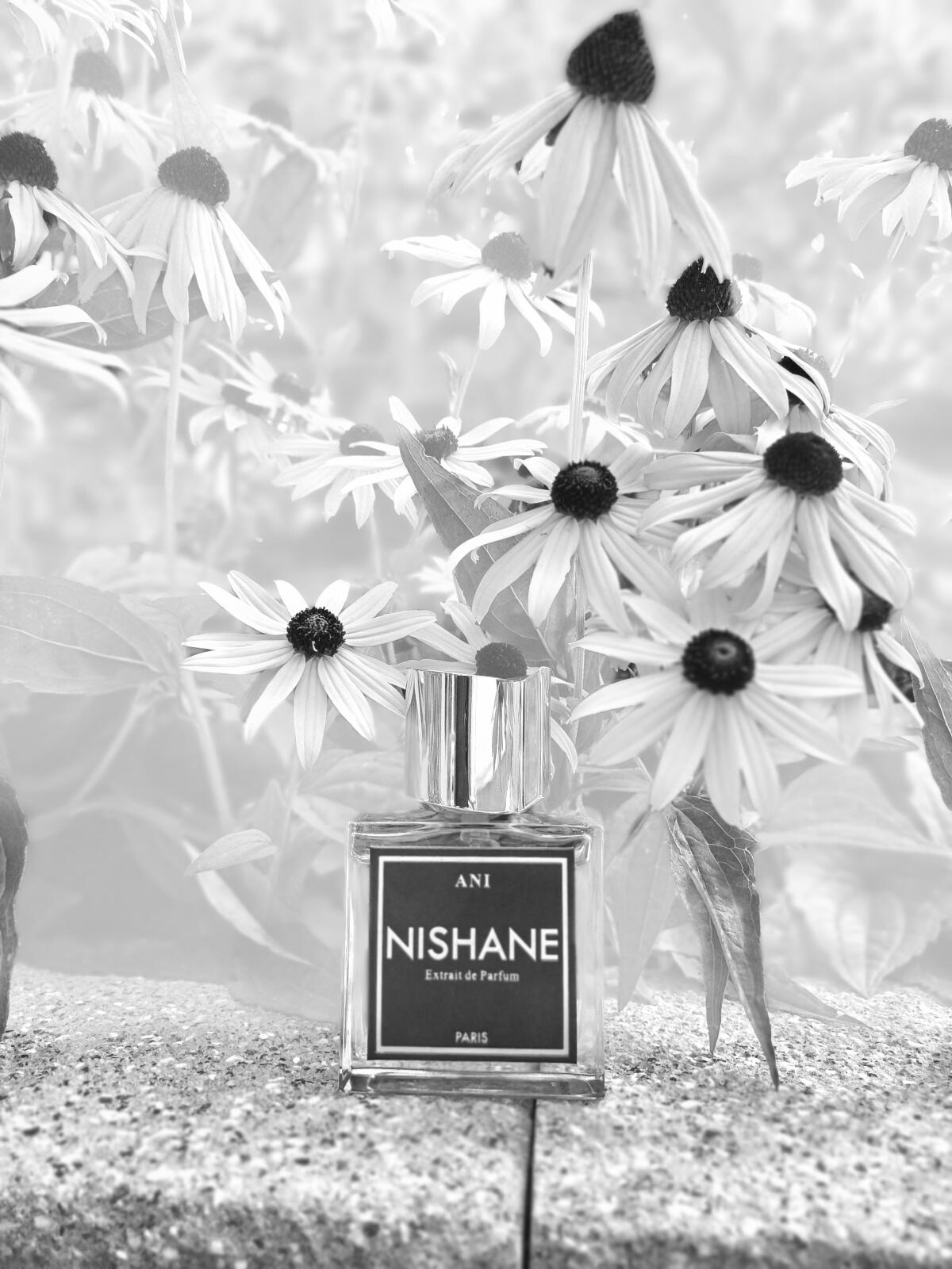 عطر ادکلن آنی نیشانه - Ani Nishane - بررسی، قیمت و خرید