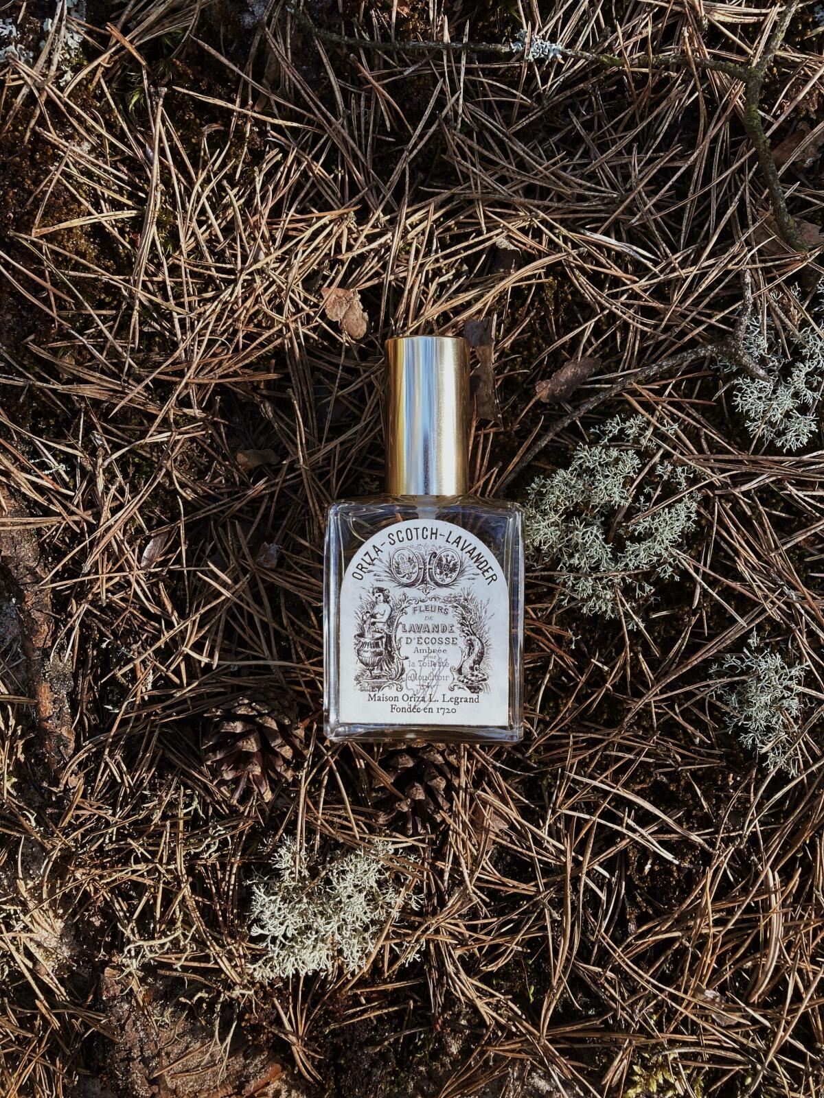 عطر ادکلن اسکاچ لاوندر اِریزا اِل. لگراند - Scotch Lavender Oriza L. Legrand - بررسی، قیمت و خرید