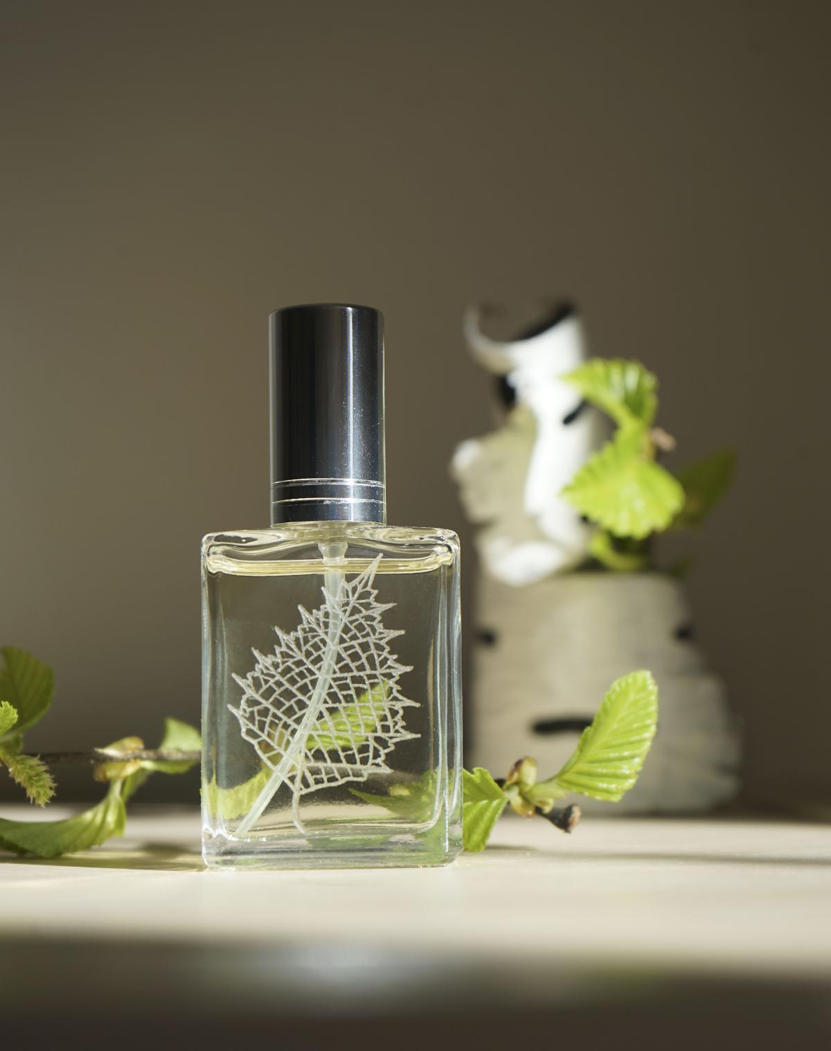 عطر ادکلن بیرچ ساپ لادانیکا - Birch Sap Берёзовый Сок Ladanika - بررسی، قیمت و خرید