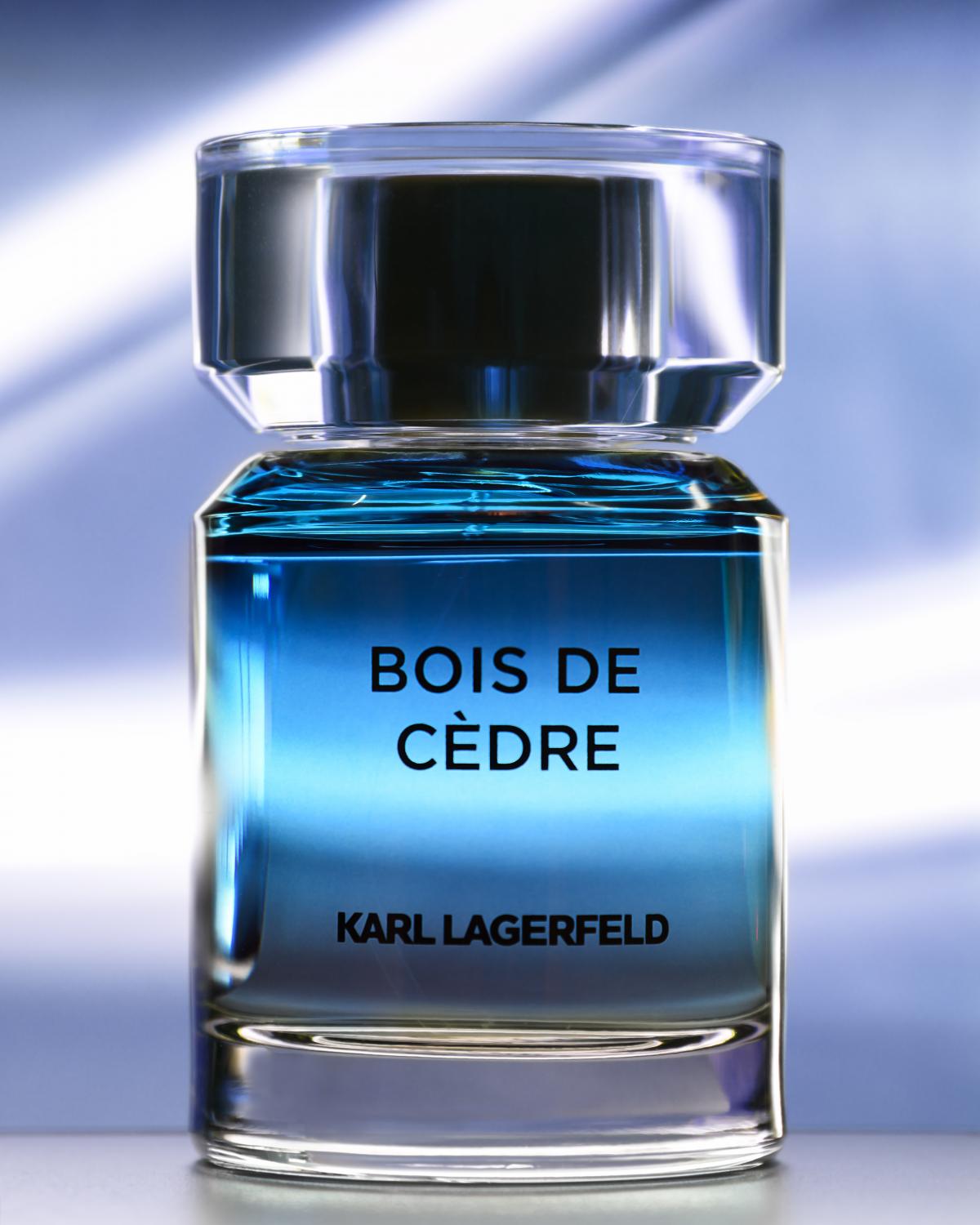 عطر ادکلن بوا دو سدر کارل لاگرفلد - Bois de Cedre Karl Lagerfeld - بررسی، قیمت و خرید
