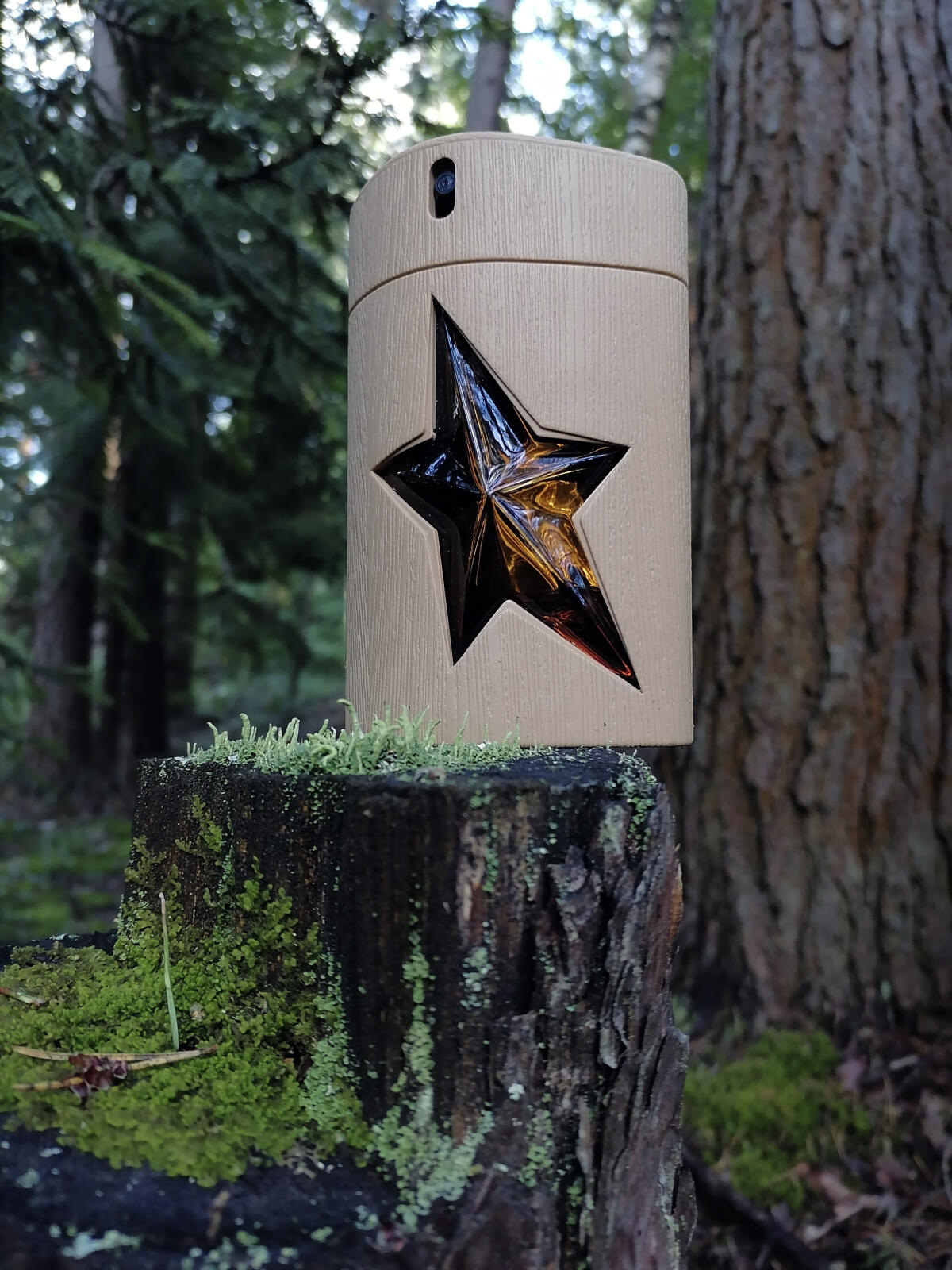 عطر ادکلن آمن پیور وود ماگلر - A*Men Pure Wood Mugler - بررسی، قیمت و خرید