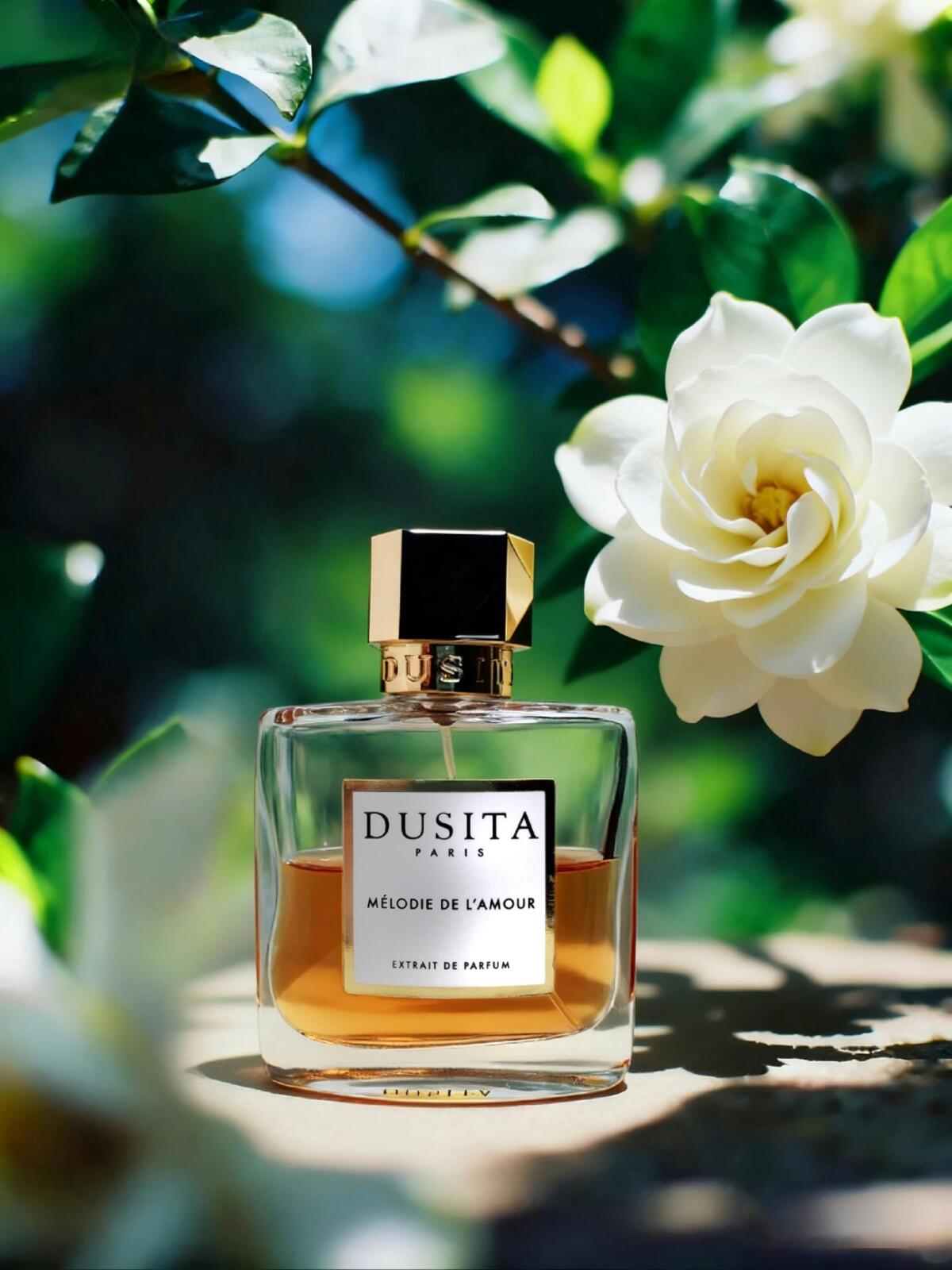 عطر ادکلن ملودی دلامور پرفیومز دوسیتا - Melodie de L'Amour Parfums Dusita - بررسی، قیمت و خرید