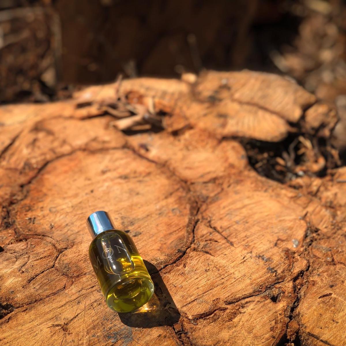 عطر ادکلن موند اسلومبرهاوس - Mond Slumberhouse - بررسی، قیمت و خرید