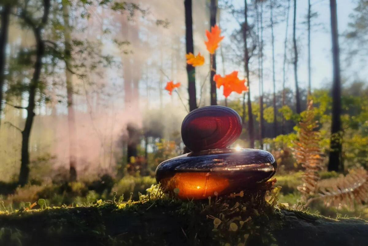 عطر ادکلن فیوژن سکری ابسکور ماجدا بگکالی - Fusion Sacrée Obscur Majda Bekkali - بررسی، قیمت و خرید