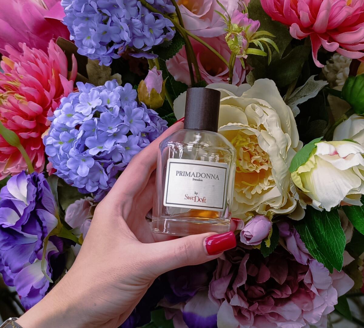 عطر ادکلن پری مادونا سویدوفت - Primadonna SweDoft - بررسی، قیمت و خرید