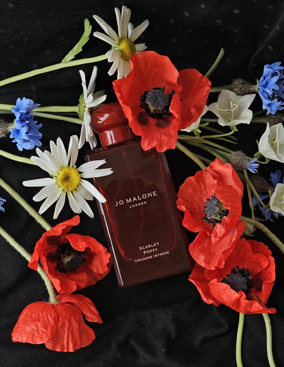 عطر ادکلن اسکارلت پاپی اینتنس جو مالون لندن - Scarlet Poppy Intense Jo Malone London - بررسی، قیمت و خرید
