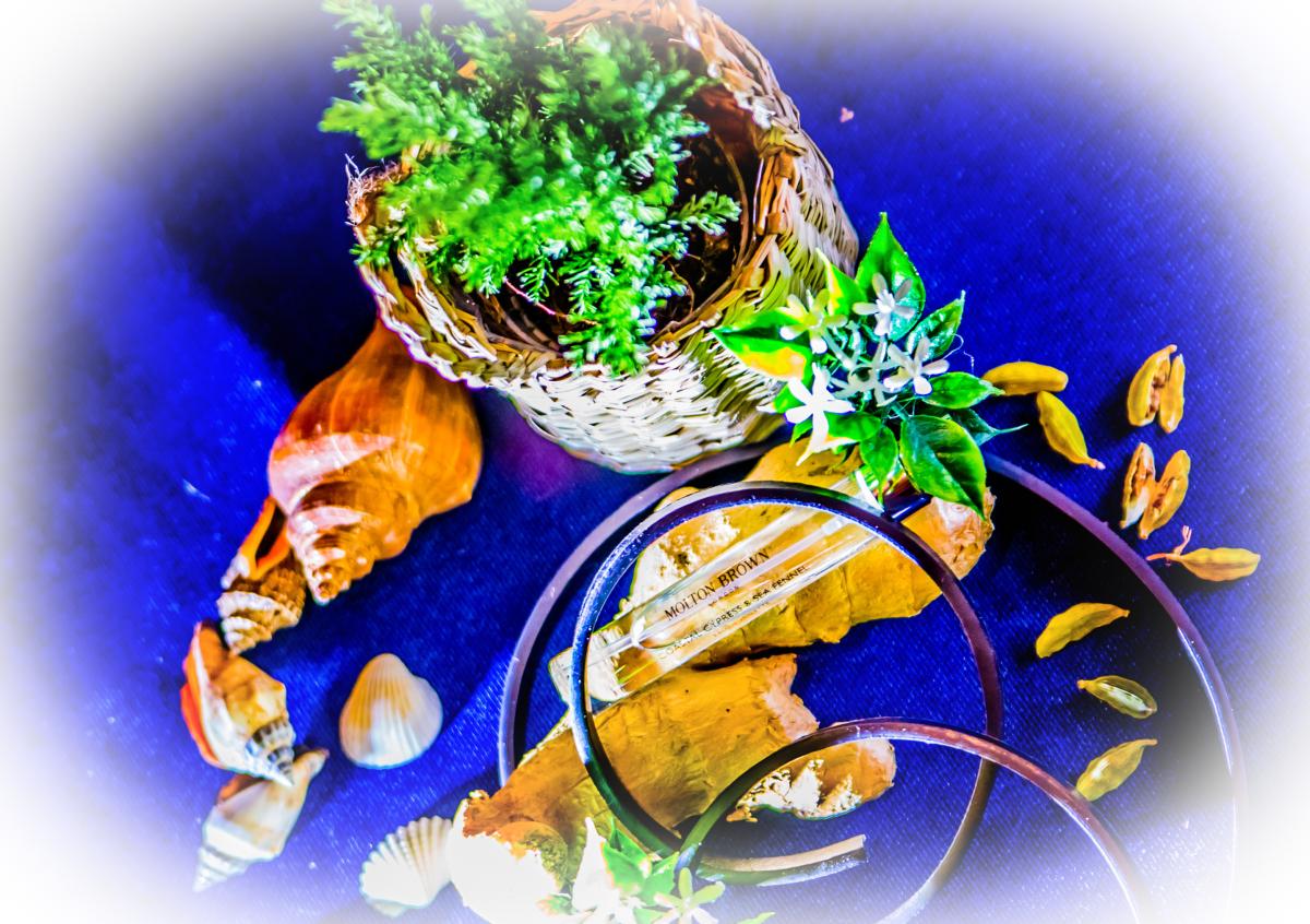 عطر ادکلن کاستال سایپرس اِند سی فِنِل اُ دِ پرفیوم مولتون براون - Coastal Cypress & Sea Fennel Eau de Parfum Molton Brown - بررسی، قیمت و خرید