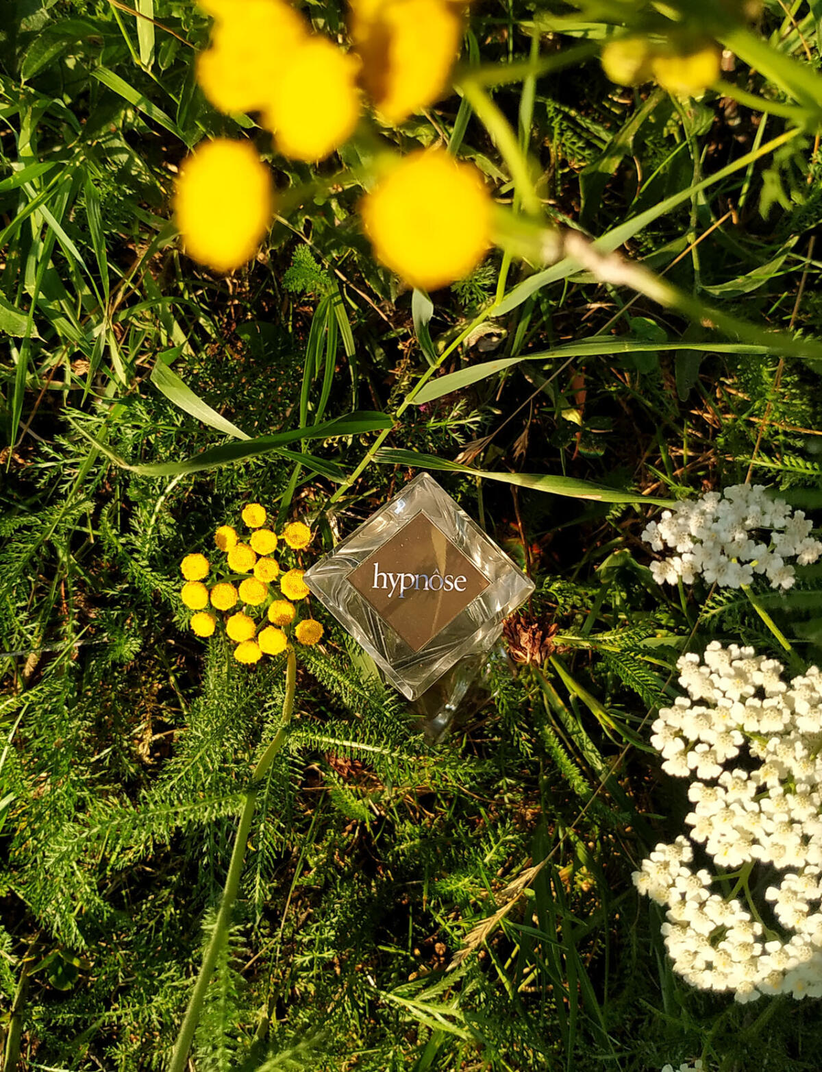 عطر ادکلن هیپنوز لانکوم - Hypnôse Lancôme - بررسی، قیمت و خرید