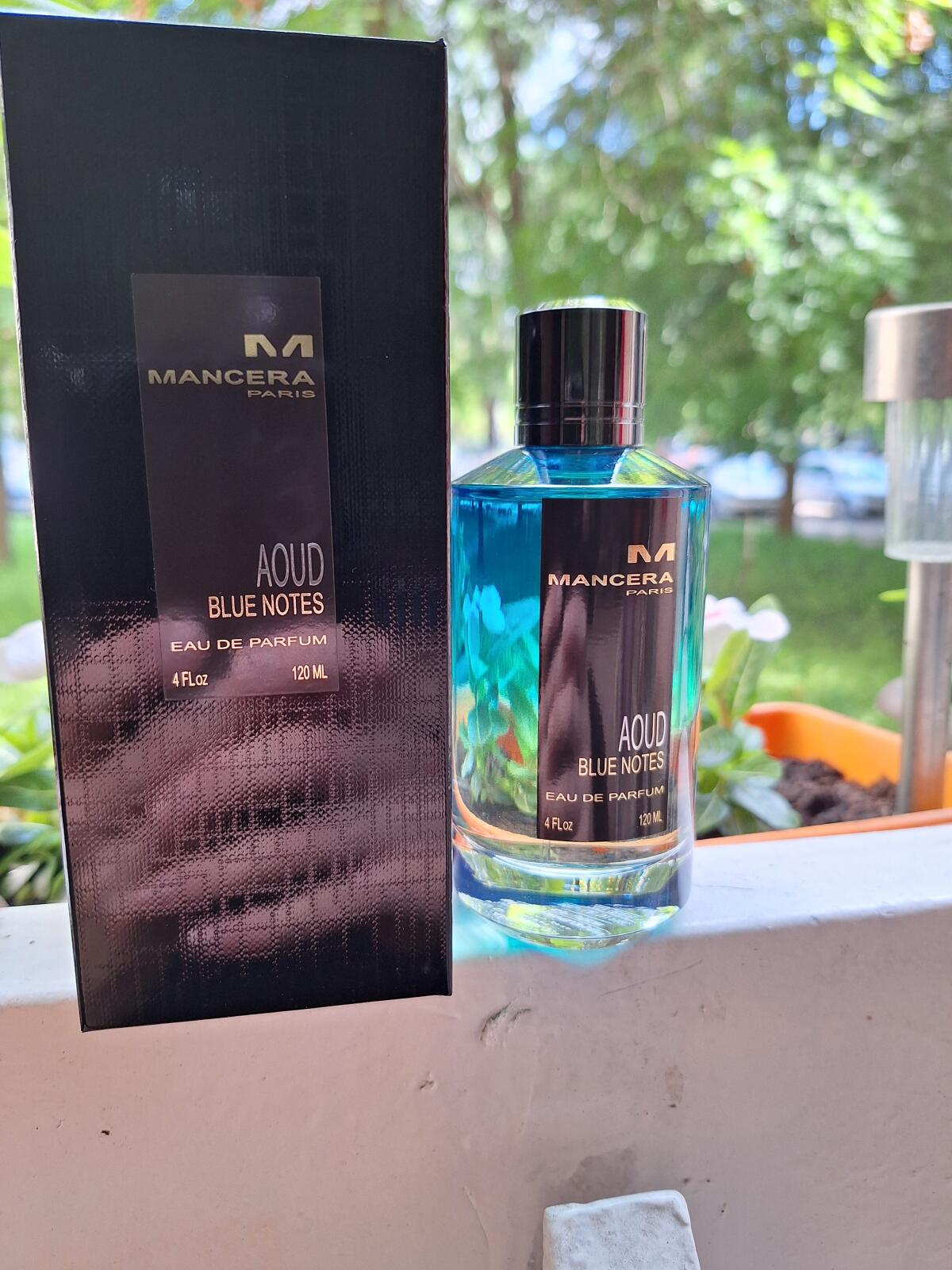 عطر ادکلن اود بلو نوتس مانسرا - Aoud Blue Notes Mancera - بررسی، قیمت و خرید