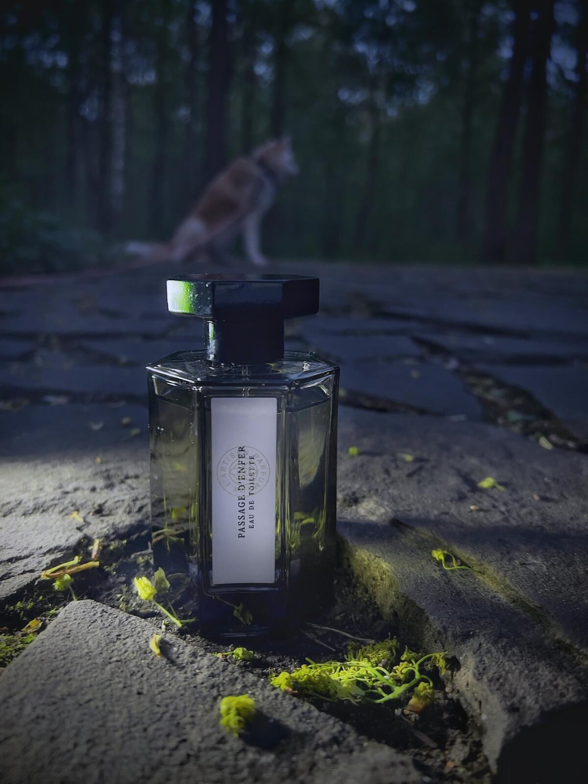 عطر ادکلن پَساج دَنفِر لارتیزان پارفومر - Passage d'Enfer L'Artisan Parfumeur - بررسی، قیمت و خرید