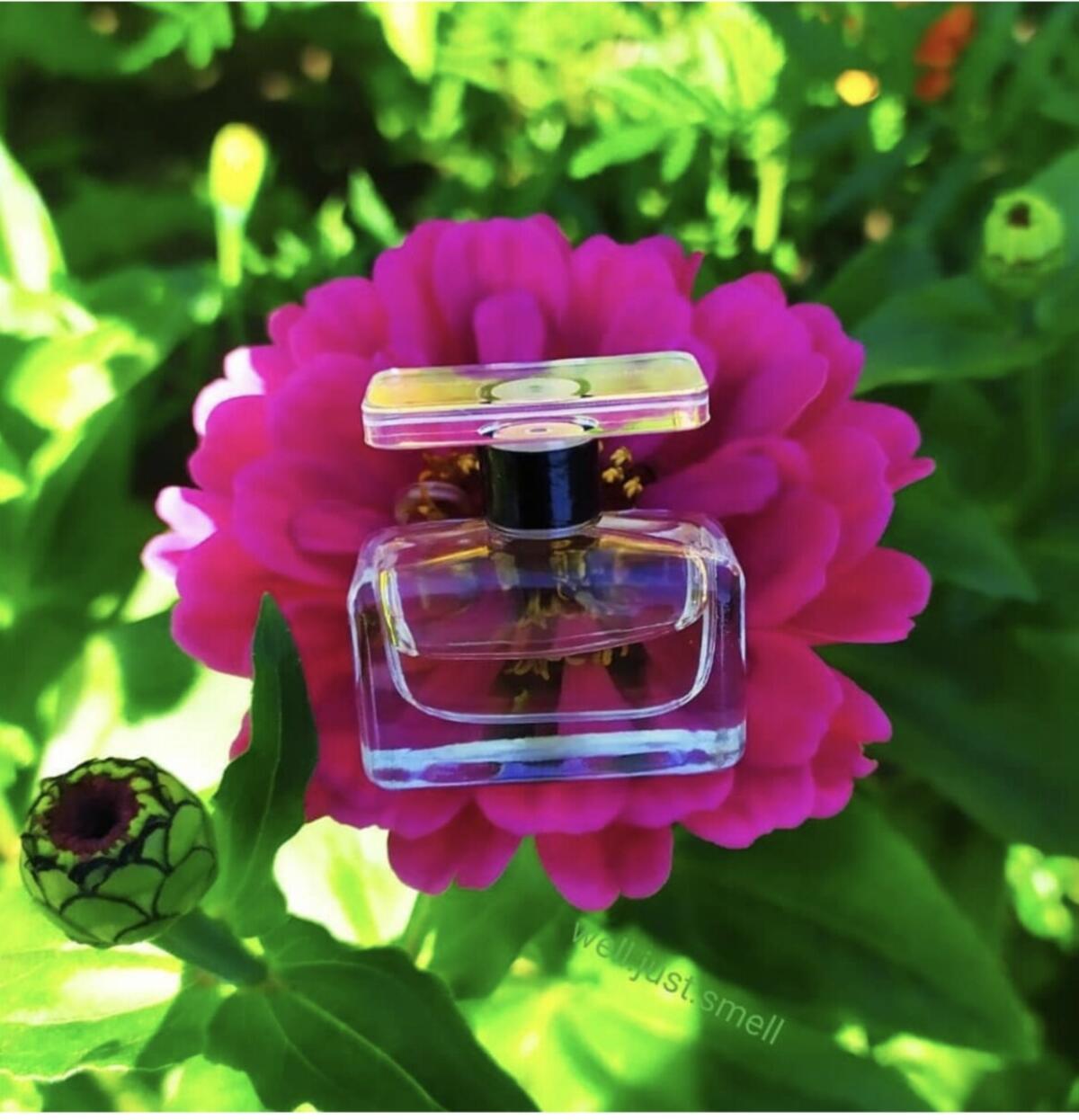 عطر ادکلن مارک جیکوبز مارک جیکوبز - Marc Jacobs Marc Jacobs - بررسی، قیمت و خرید