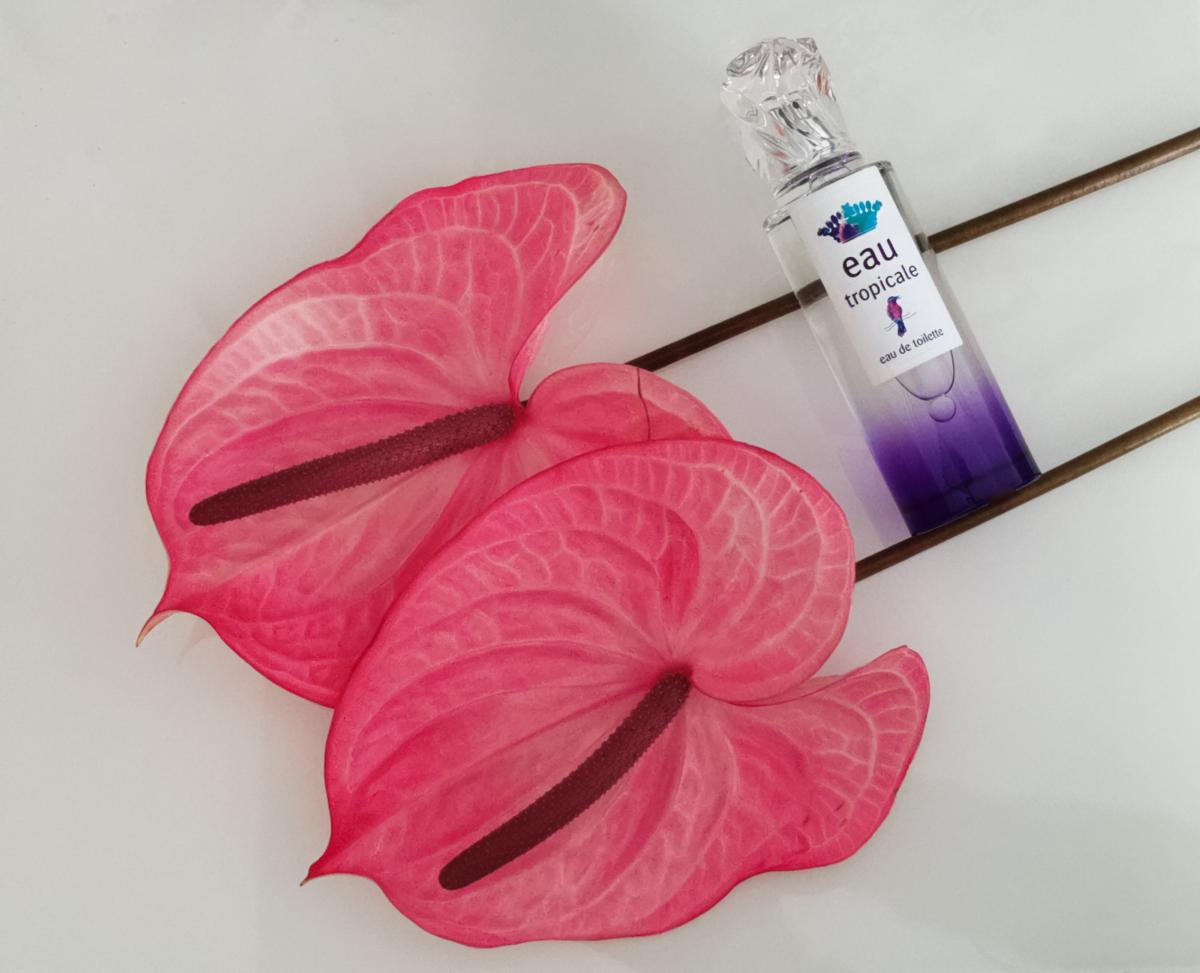 عطر ادکلن او تروپیکال سیسلی - Eau Tropicale Sisley - بررسی، قیمت و خرید