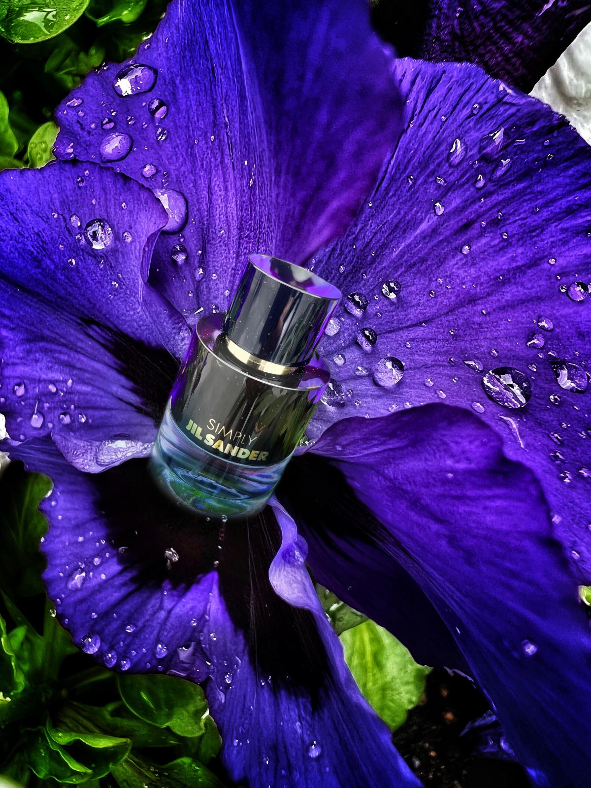 عطر ادکلن سیمپلی جیل ساندر تاچ آو ویولت جیل سندر - Simply Jil Sander Touch of Violet Jil Sander - بررسی، قیمت و خرید