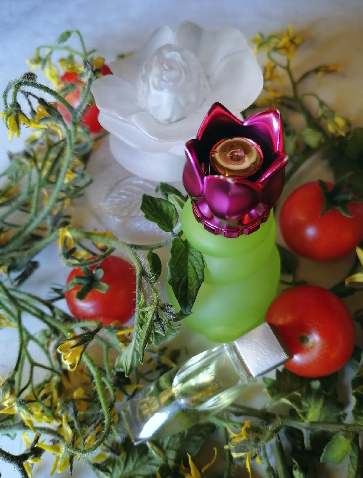 عطر ادکلن له بل د ریکی نینا ریچی - Les Belles de Ricci Nina Ricci - بررسی، قیمت و خرید