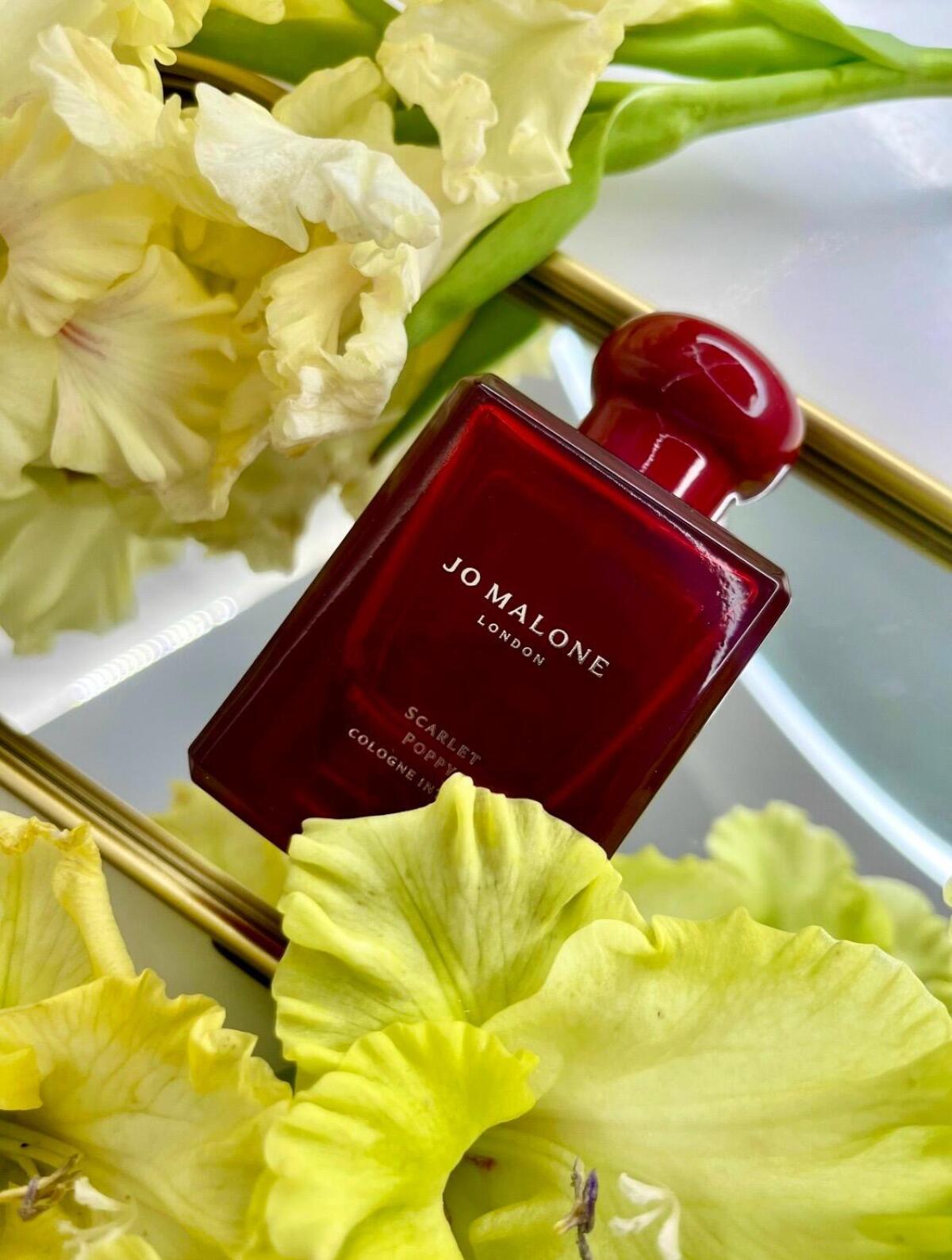 عطر ادکلن اسکارلت پاپی اینتنس جو مالون لندن - Scarlet Poppy Intense Jo Malone London - بررسی، قیمت و خرید