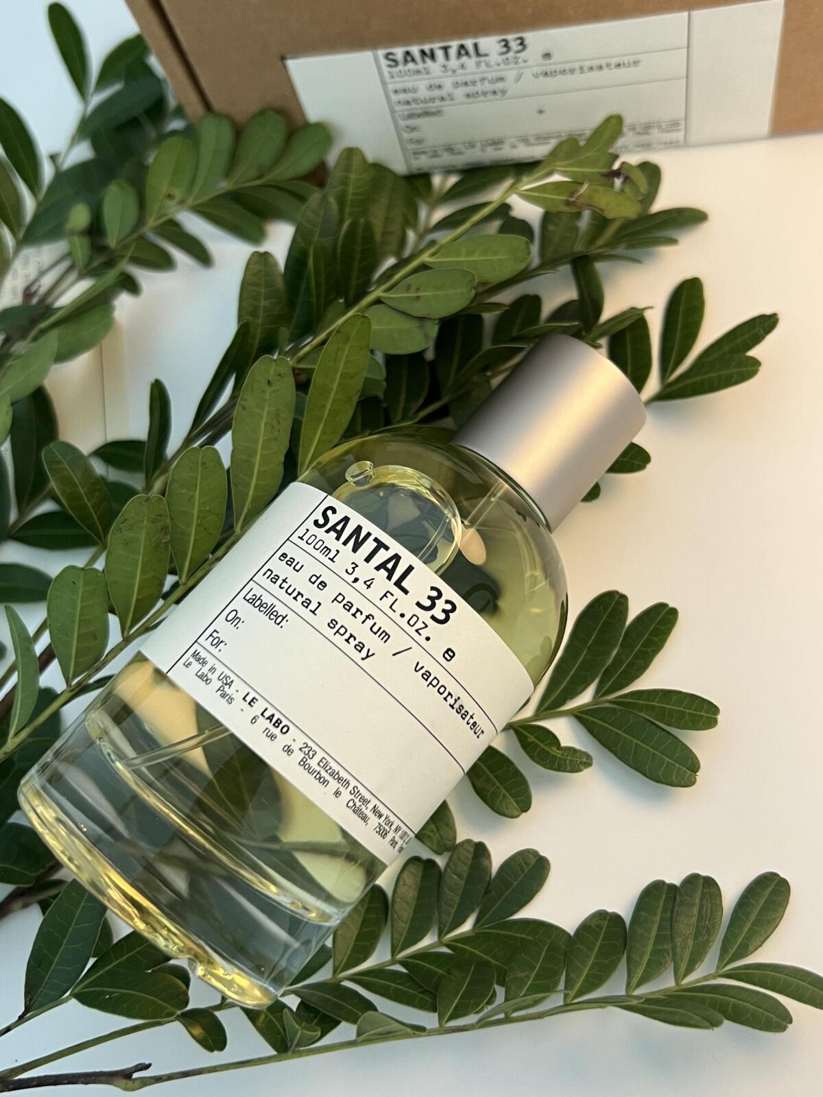 عطر ادکلن سنتر سی و سه له لابو - Santal 33 Le Labo - بررسی، قیمت و خرید