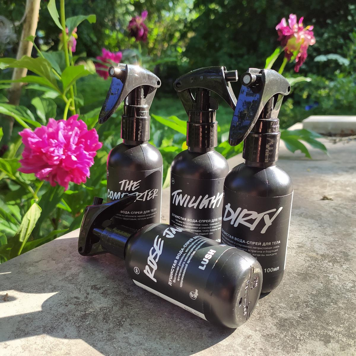 عطر ادکلن د کامفُرتِر لاش - The Comforter Lush - بررسی، قیمت و خرید