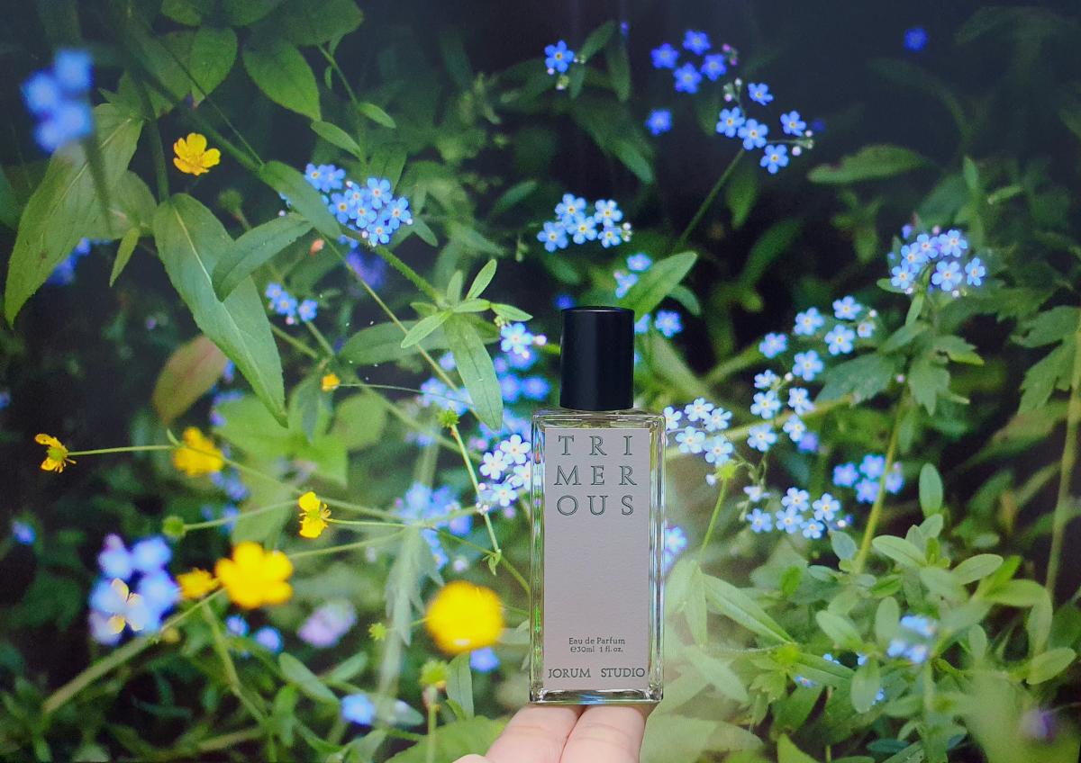 عطر ادکلن ترایمرس جورم استودیو - Trimerous Jorum Studio - بررسی، قیمت و خرید